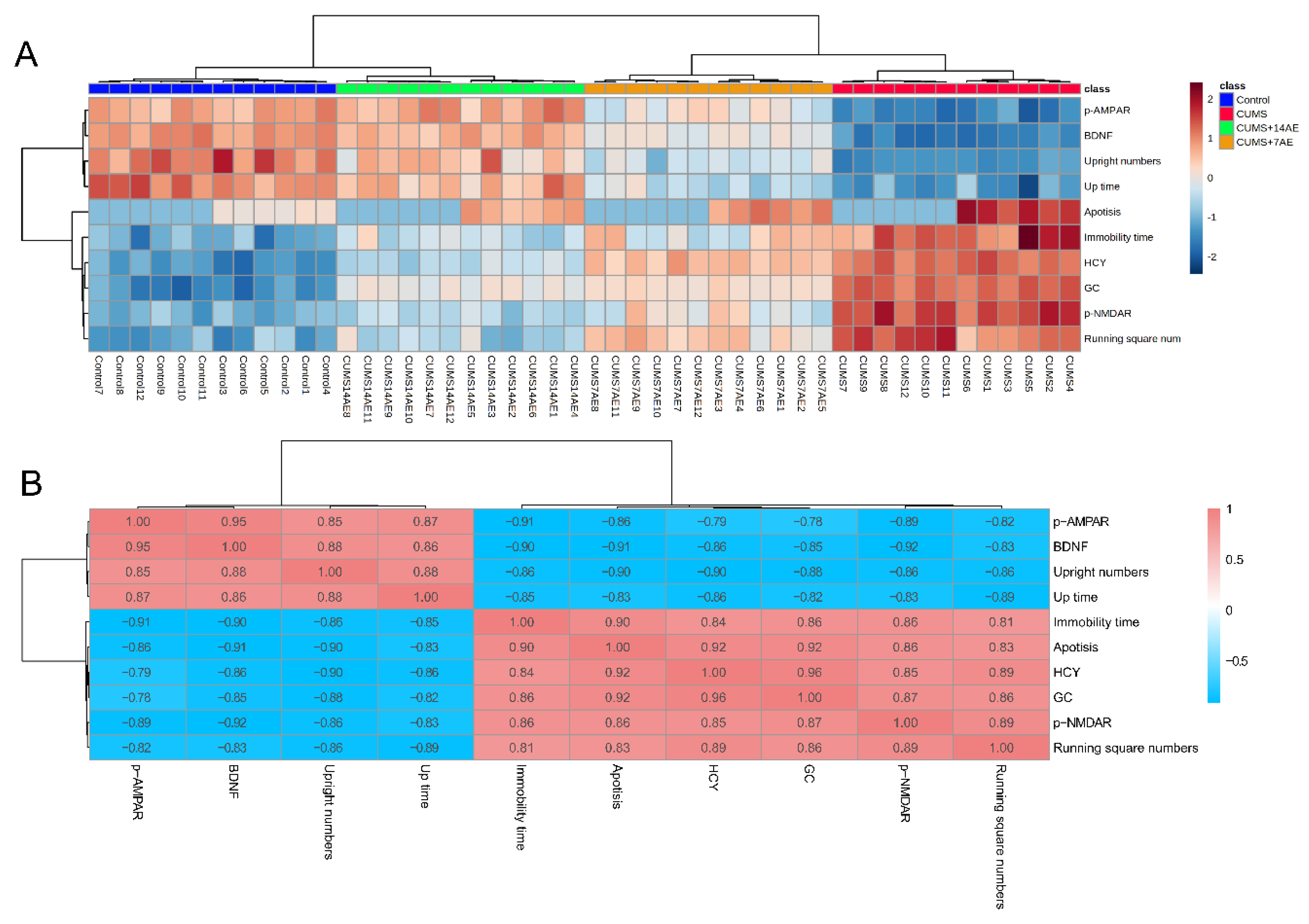 Brainsci 11 00009 g006