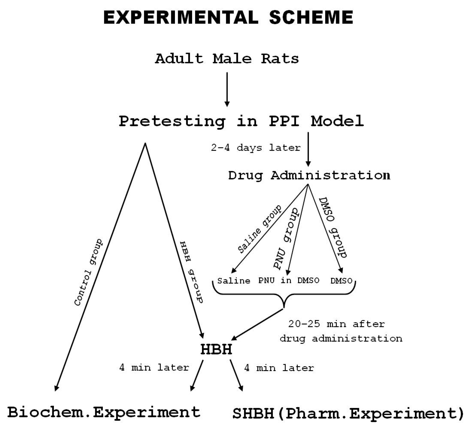 Brainsci 11 00012 g001