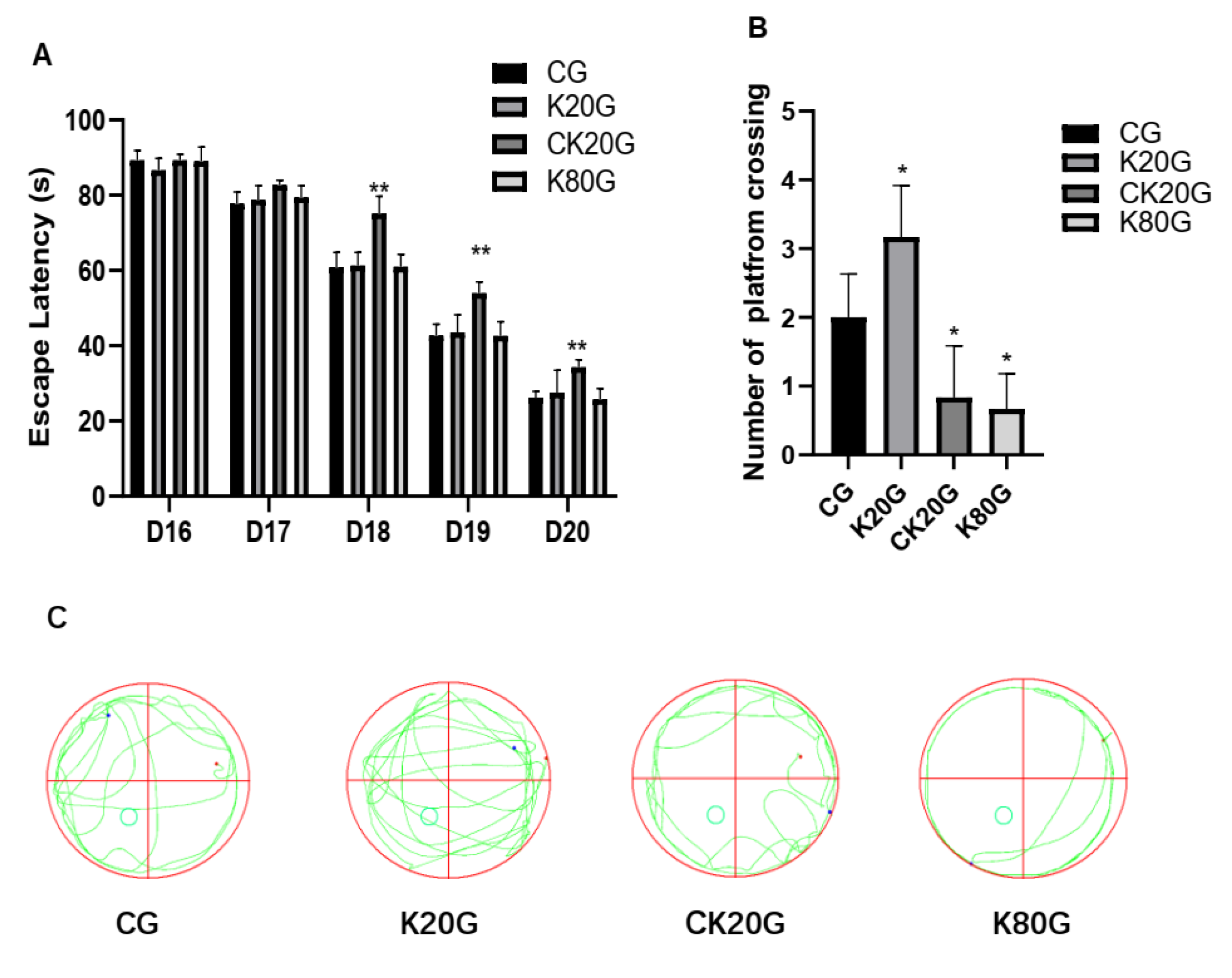 Brainsci 11 00027 g001 Brainsci 11 00027 g001