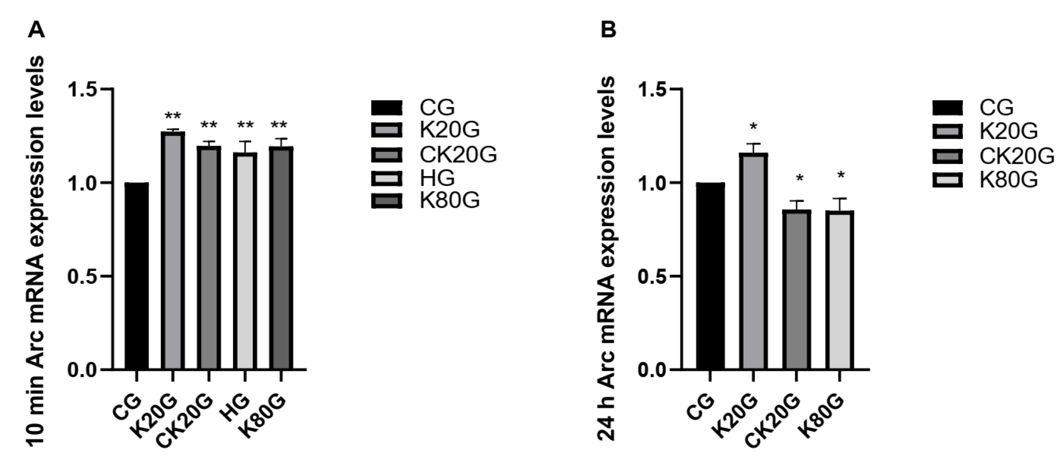 Brainsci 11 00027 g002 Brainsci 11 00027 g002