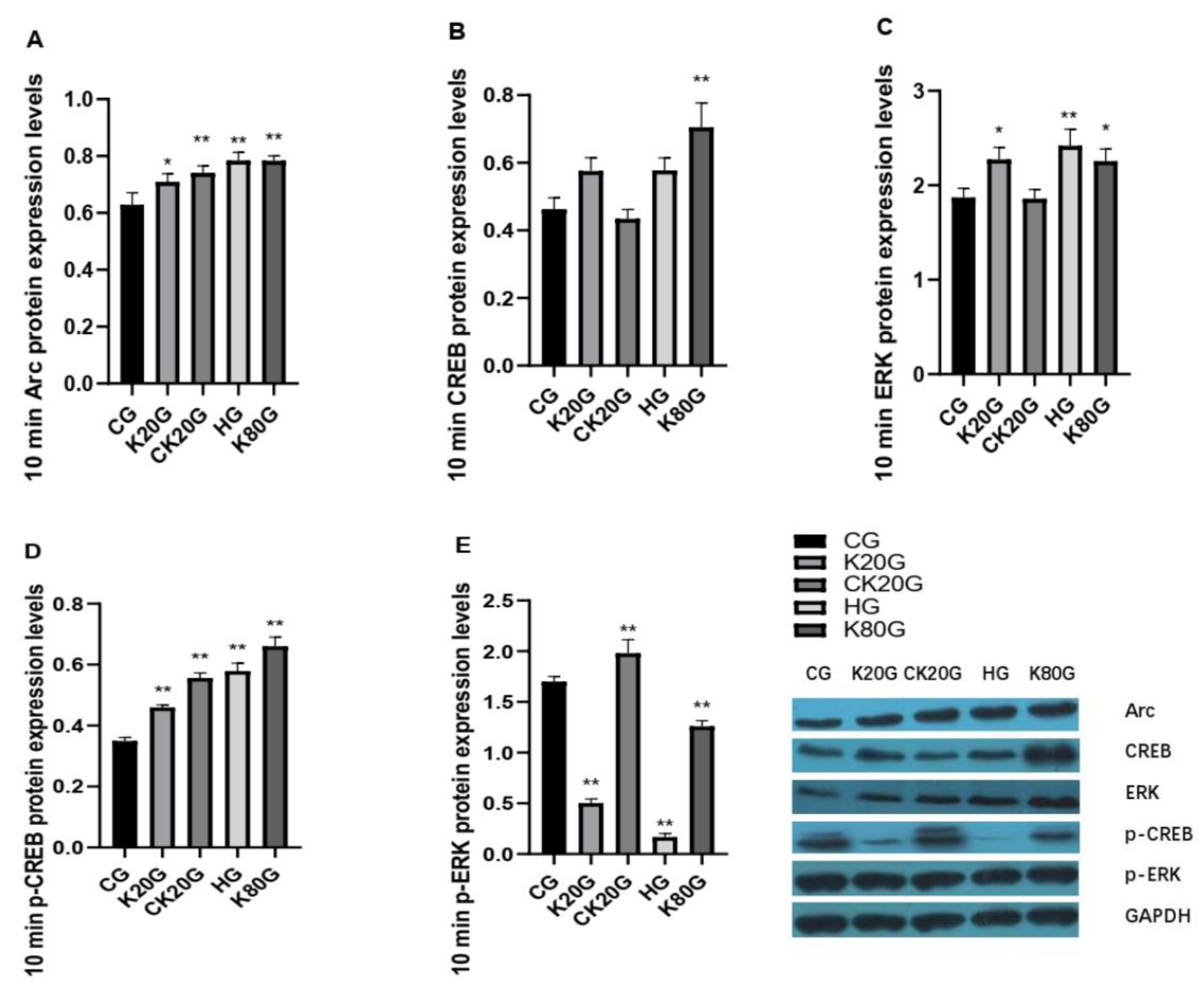 Brainsci 11 00027 g003 Brainsci 11 00027 g003