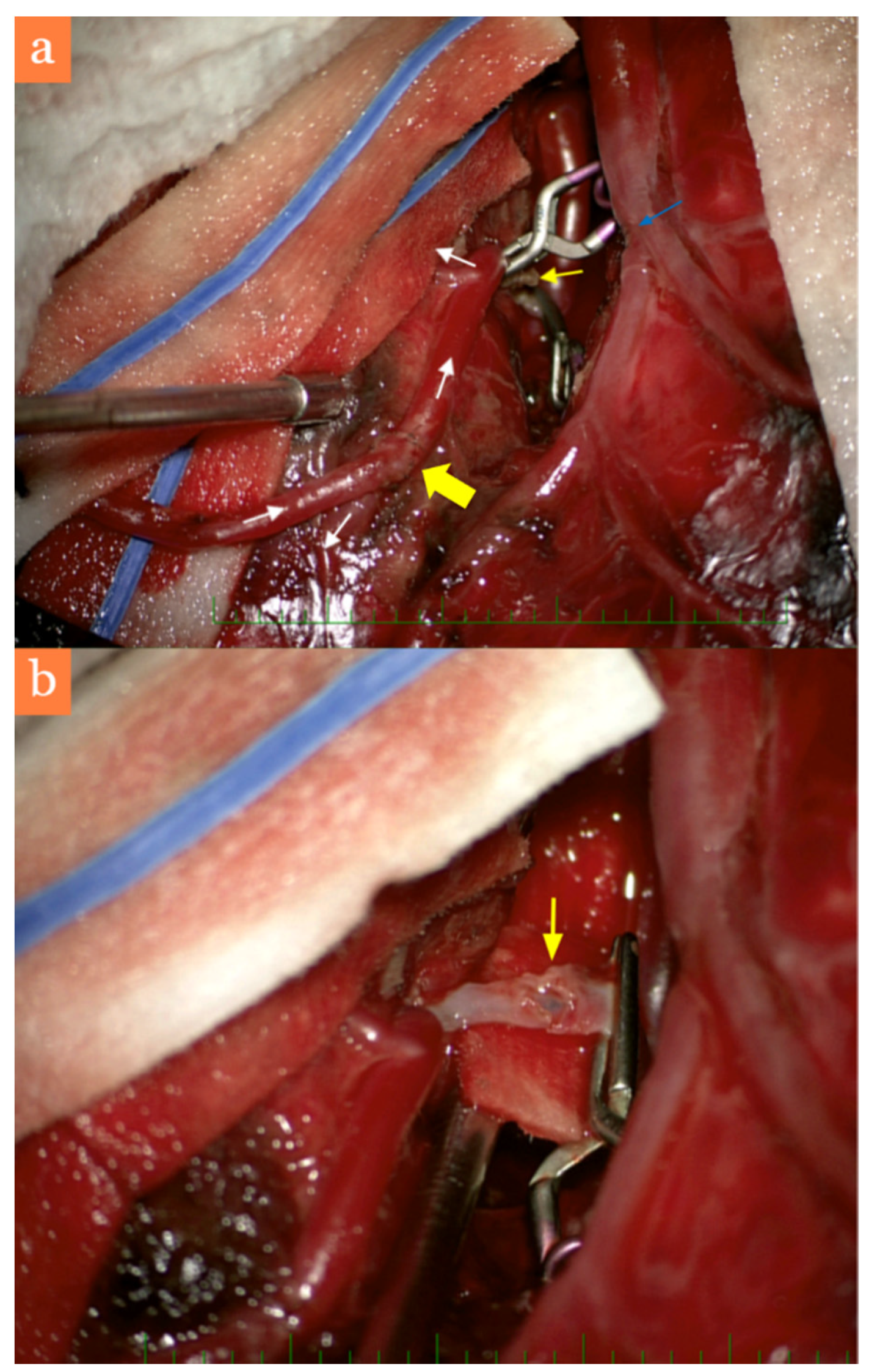 Brainsci 11 00029 g002