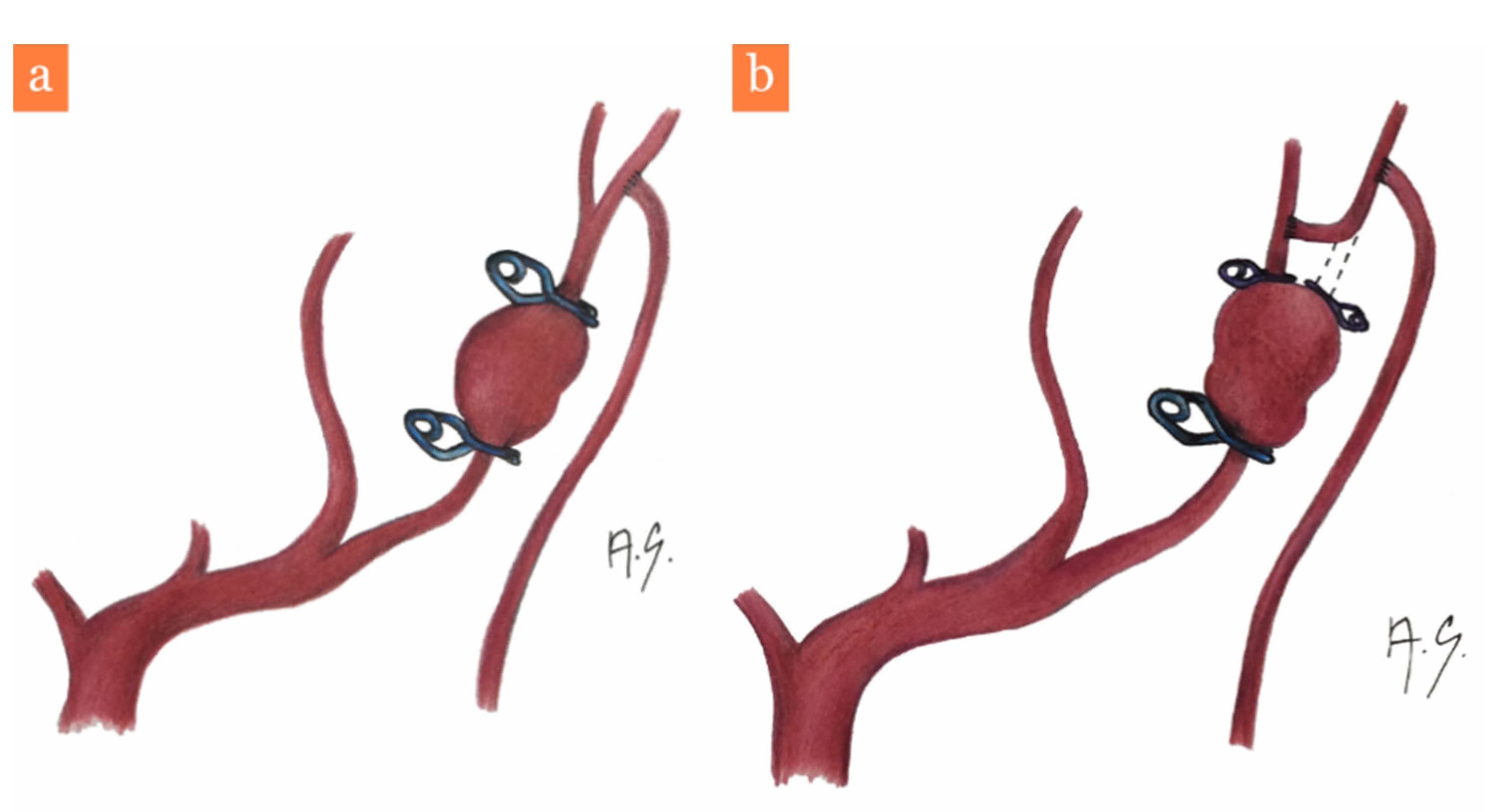 Brainsci 11 00029 g004