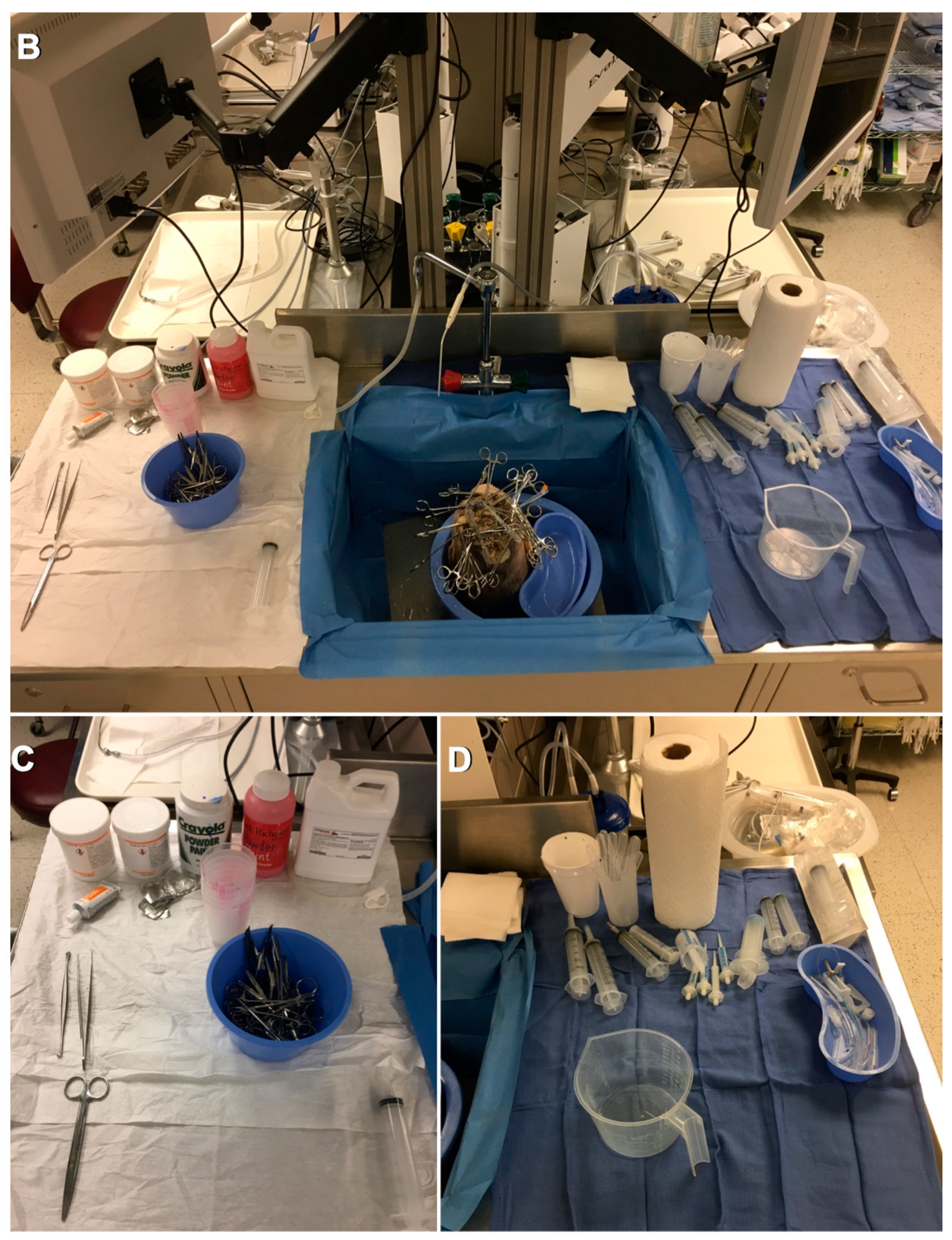Brainsci 11 00032 g001b Brainsci 11 00032 g001b