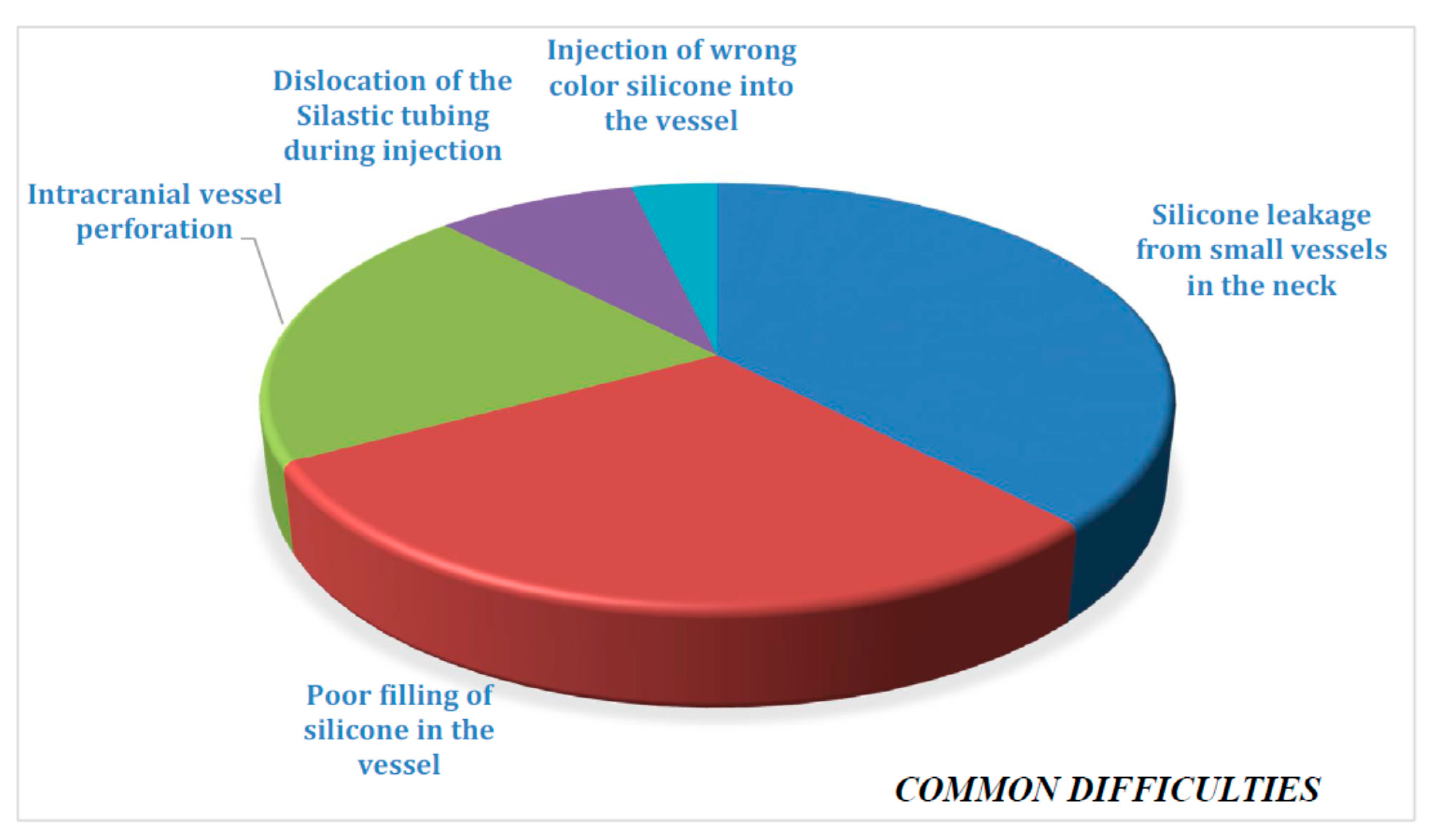 Brainsci 11 00032 g003 Brainsci 11 00032 g003