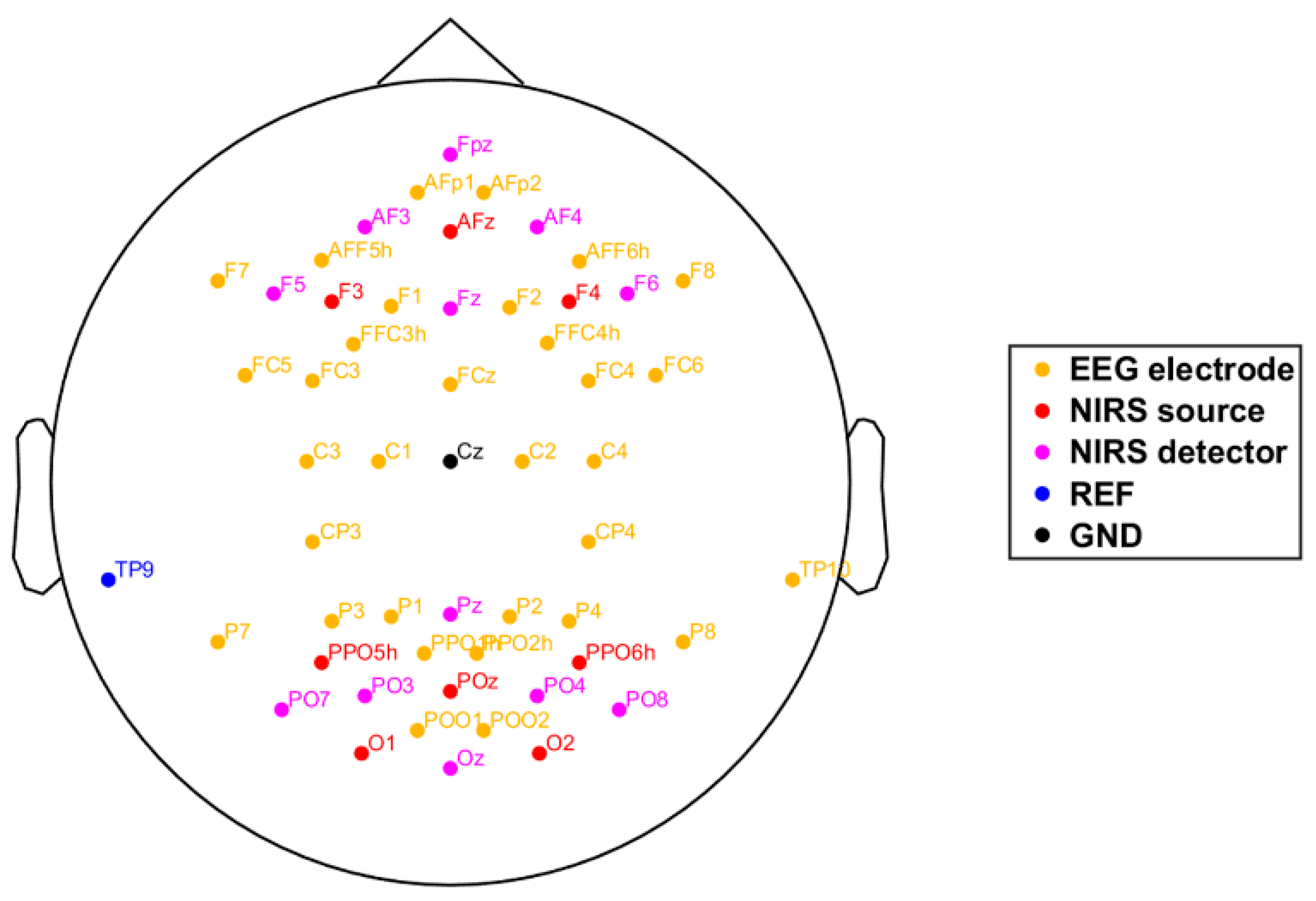Brainsci 11 00035 g003