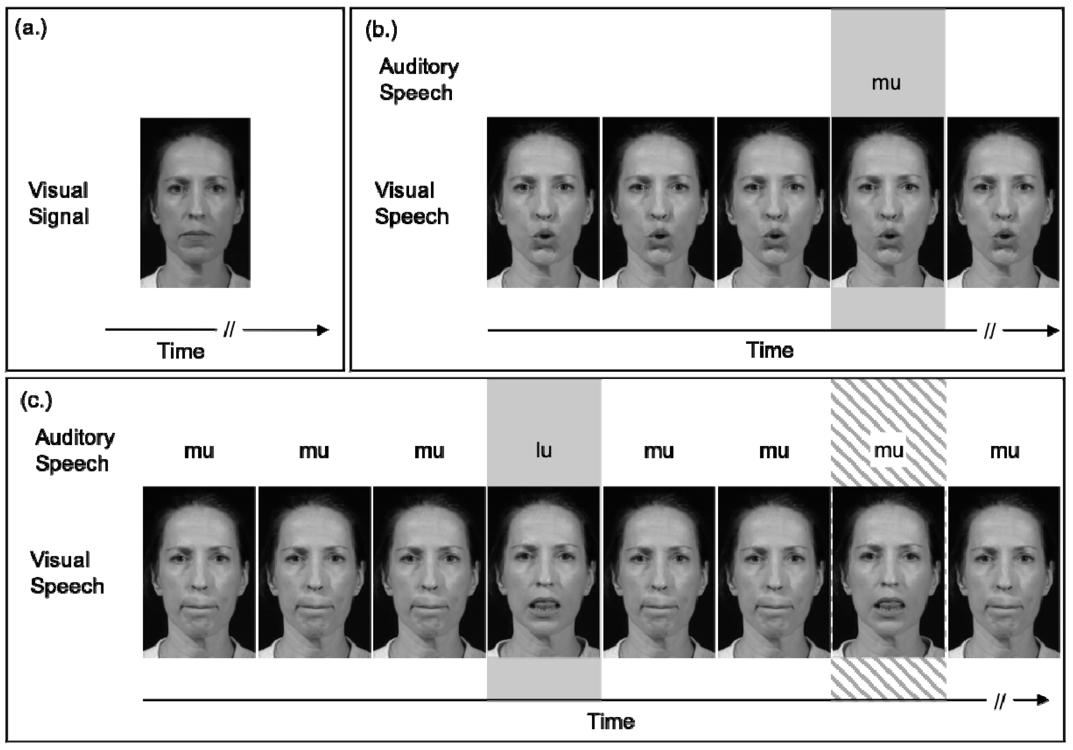 Brainsci 11 00049 g001