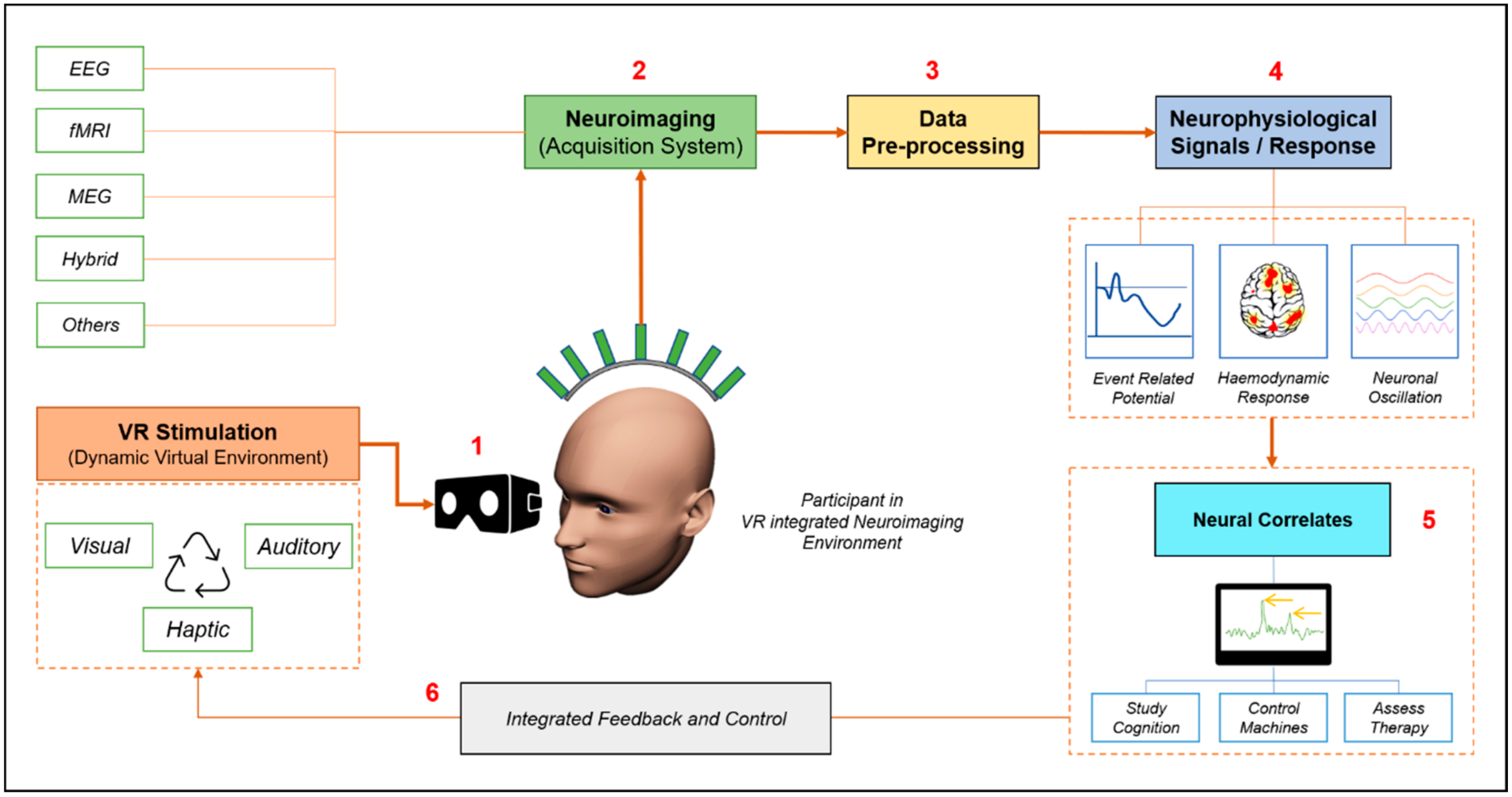 Brainsci 11 00051 g001