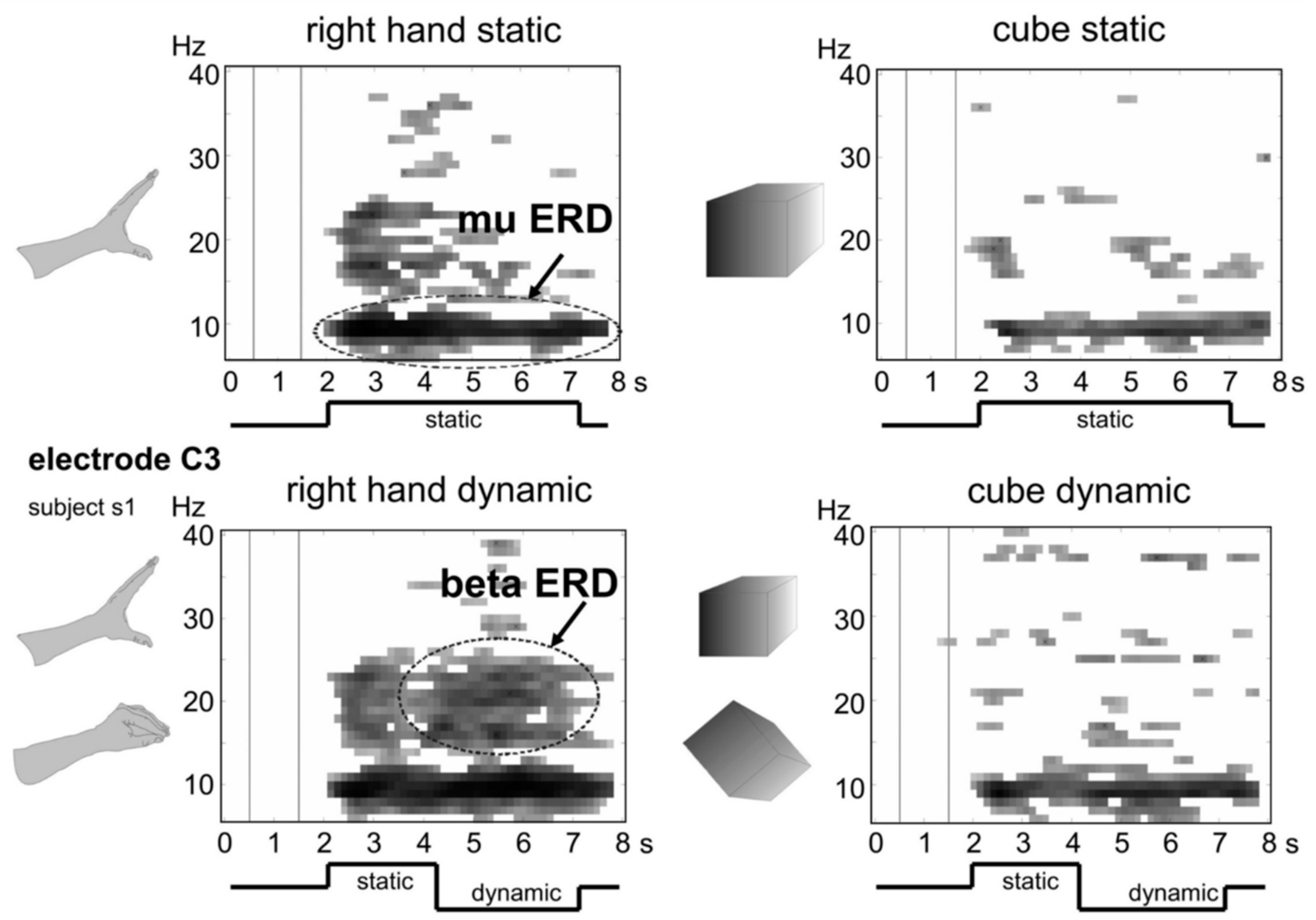 Brainsci 11 00051 g008