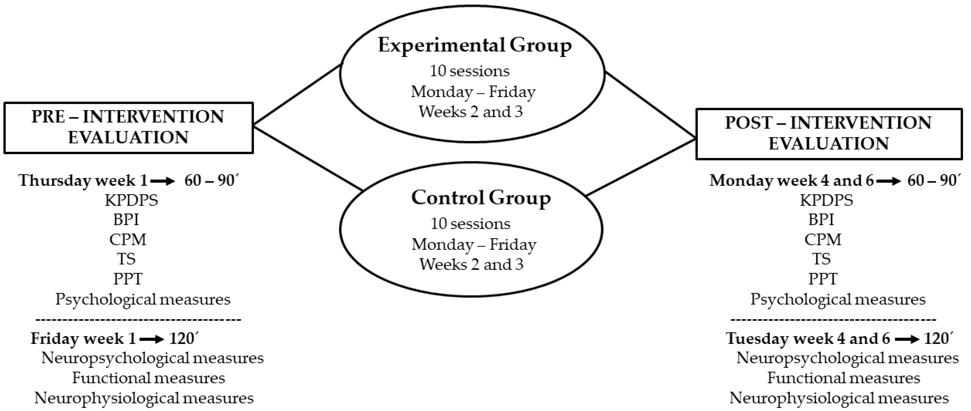 Brainsci 11 00065 g001 Brainsci 11 00065 g001