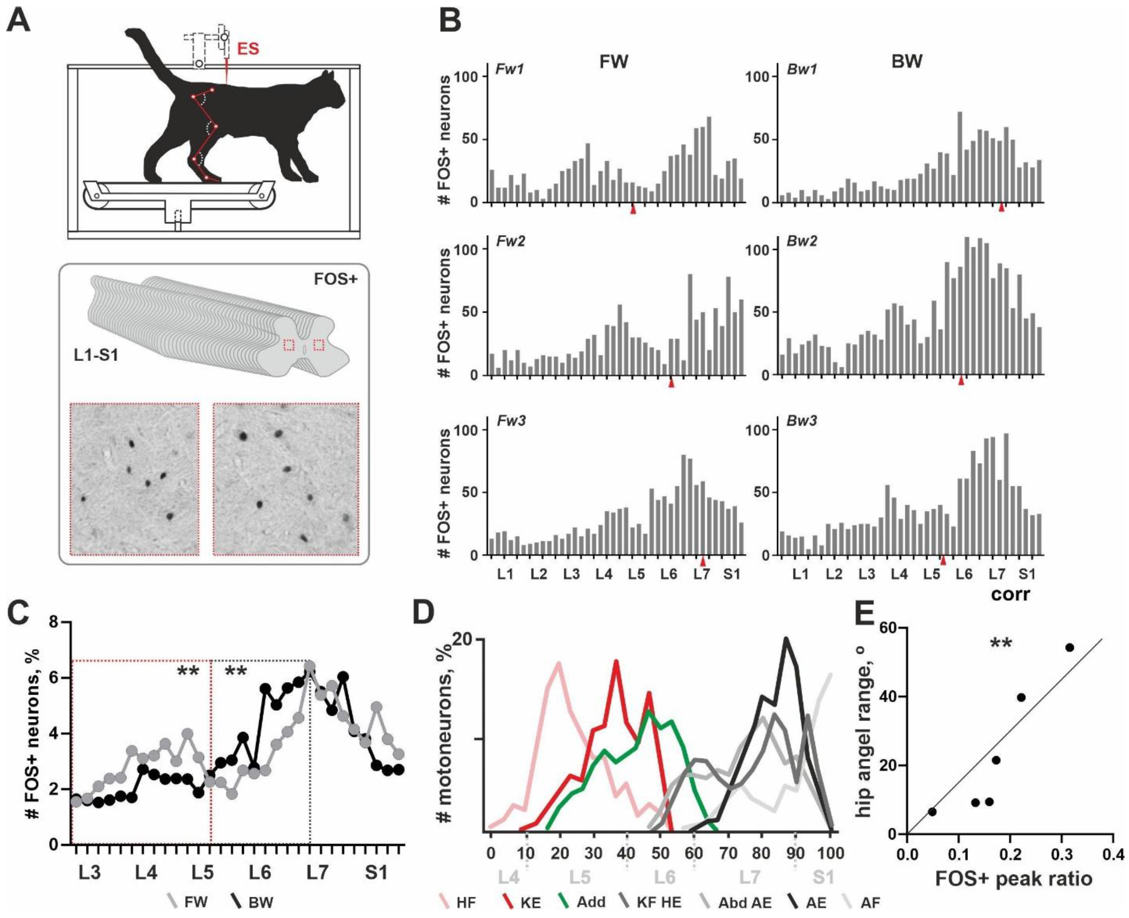 Brainsci 11 00069 g001