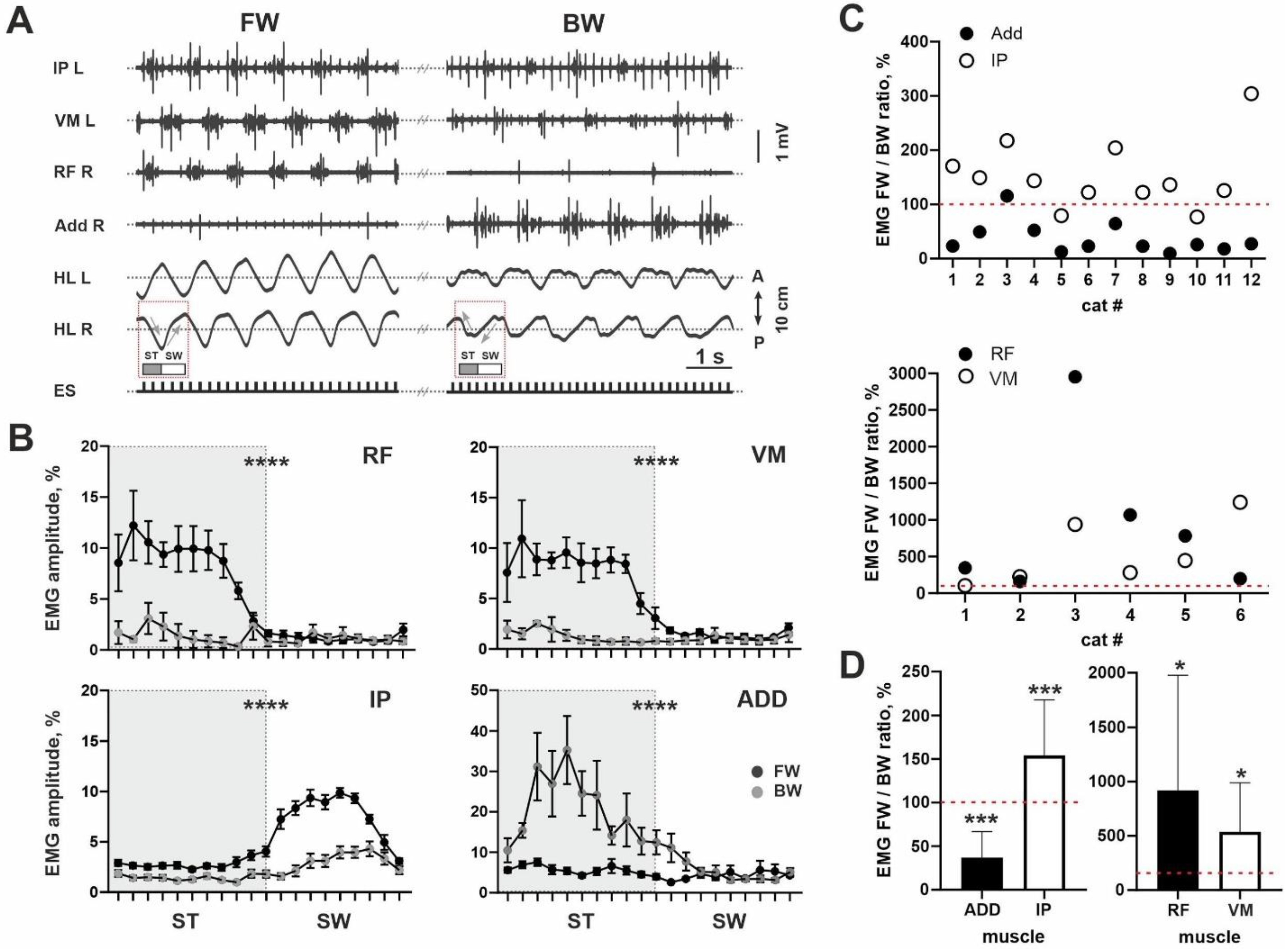 Brainsci 11 00069 g002