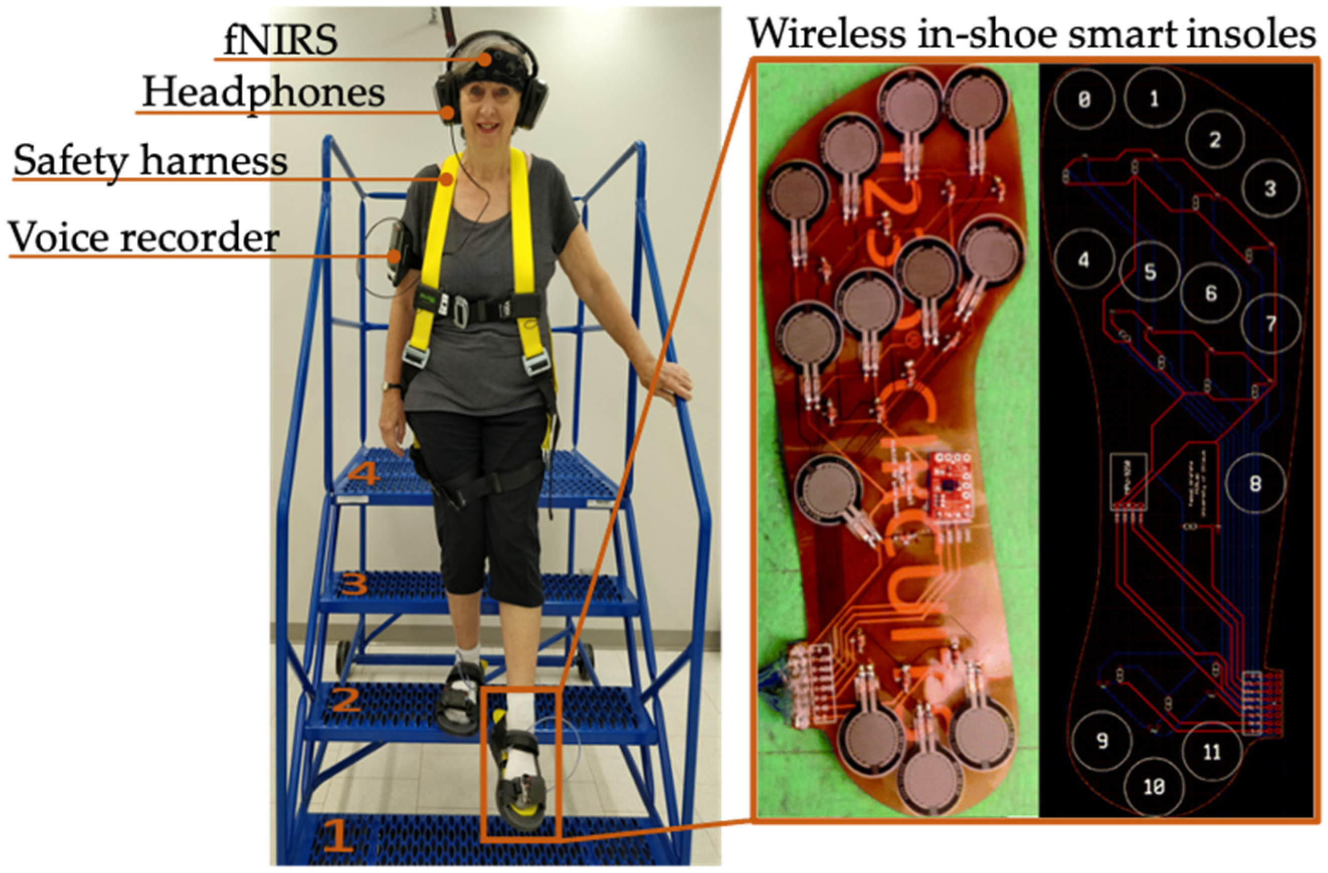 Brainsci 11 00071 g001 Brainsci 11 00071 g001