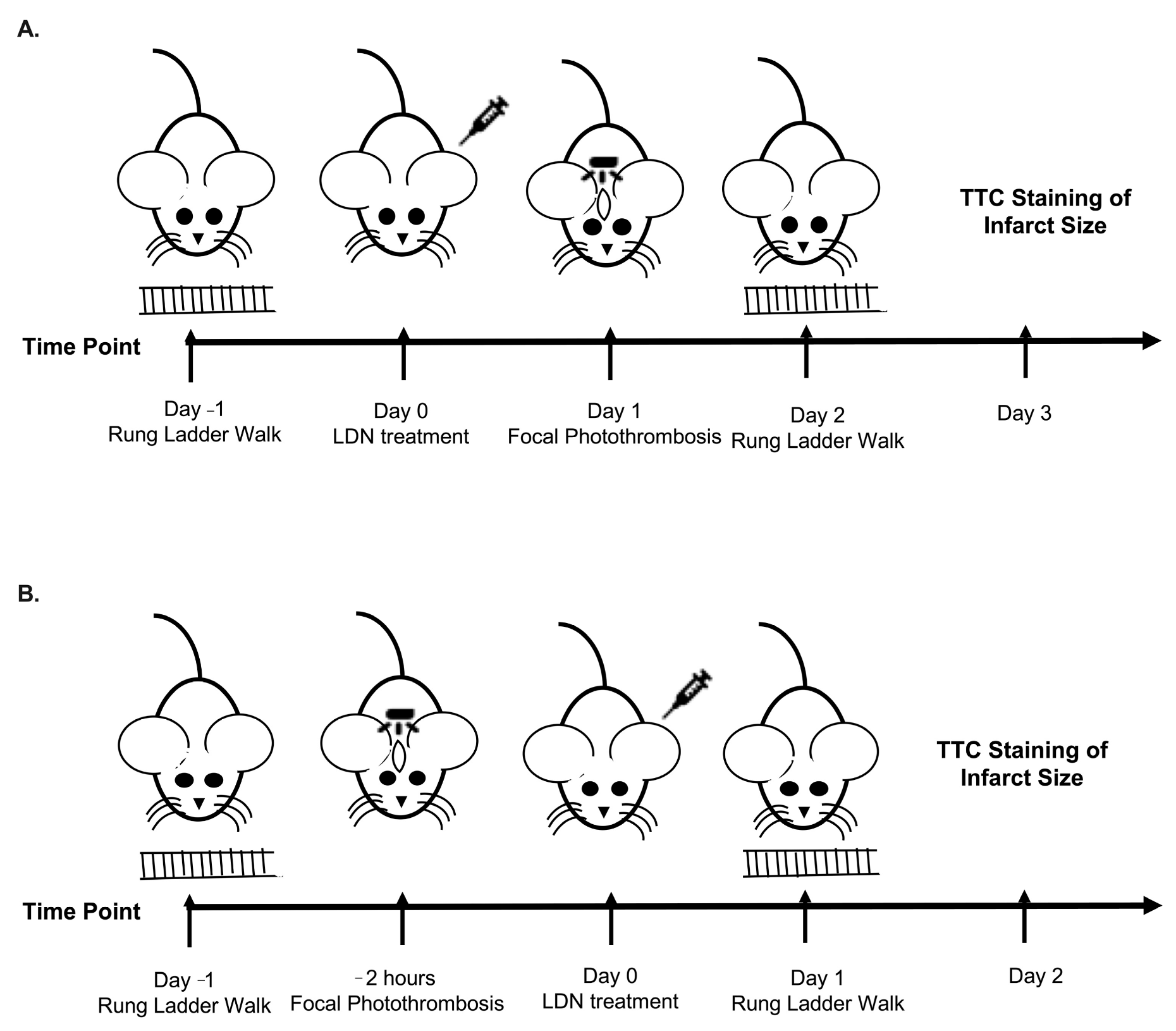 Brainsci 11 00076 g001 Brainsci 11 00076 g001