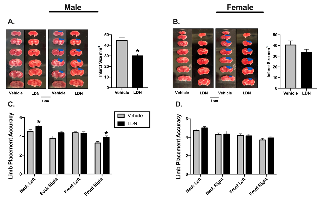 Brainsci 11 00076 g002 Brainsci 11 00076 g002