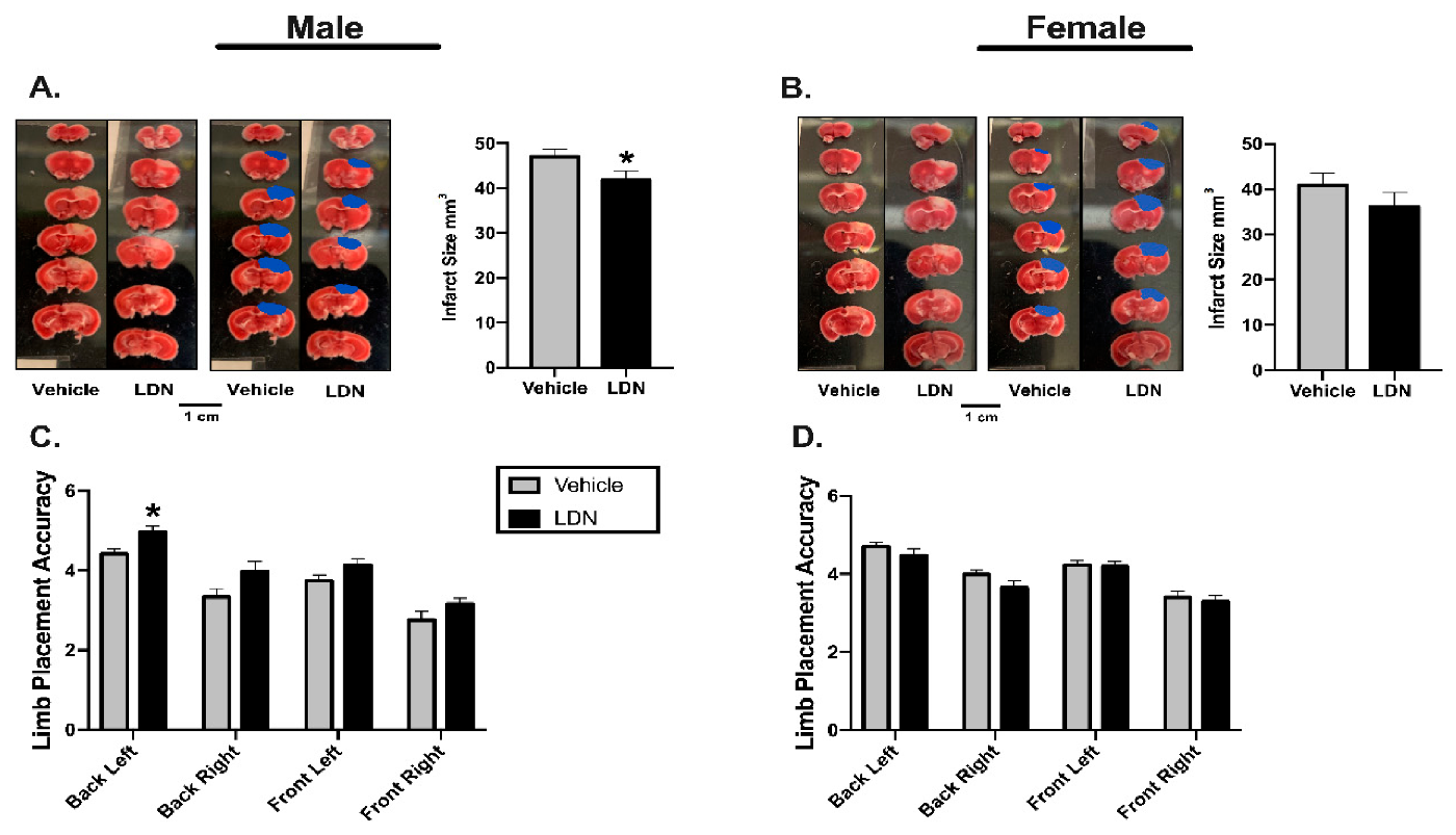 Brainsci 11 00076 g003 Brainsci 11 00076 g003