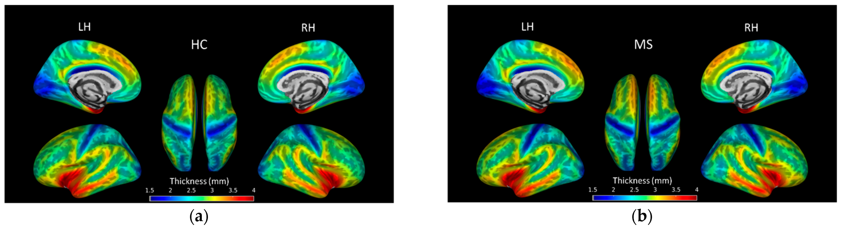 Brainsci 11 00080 g001