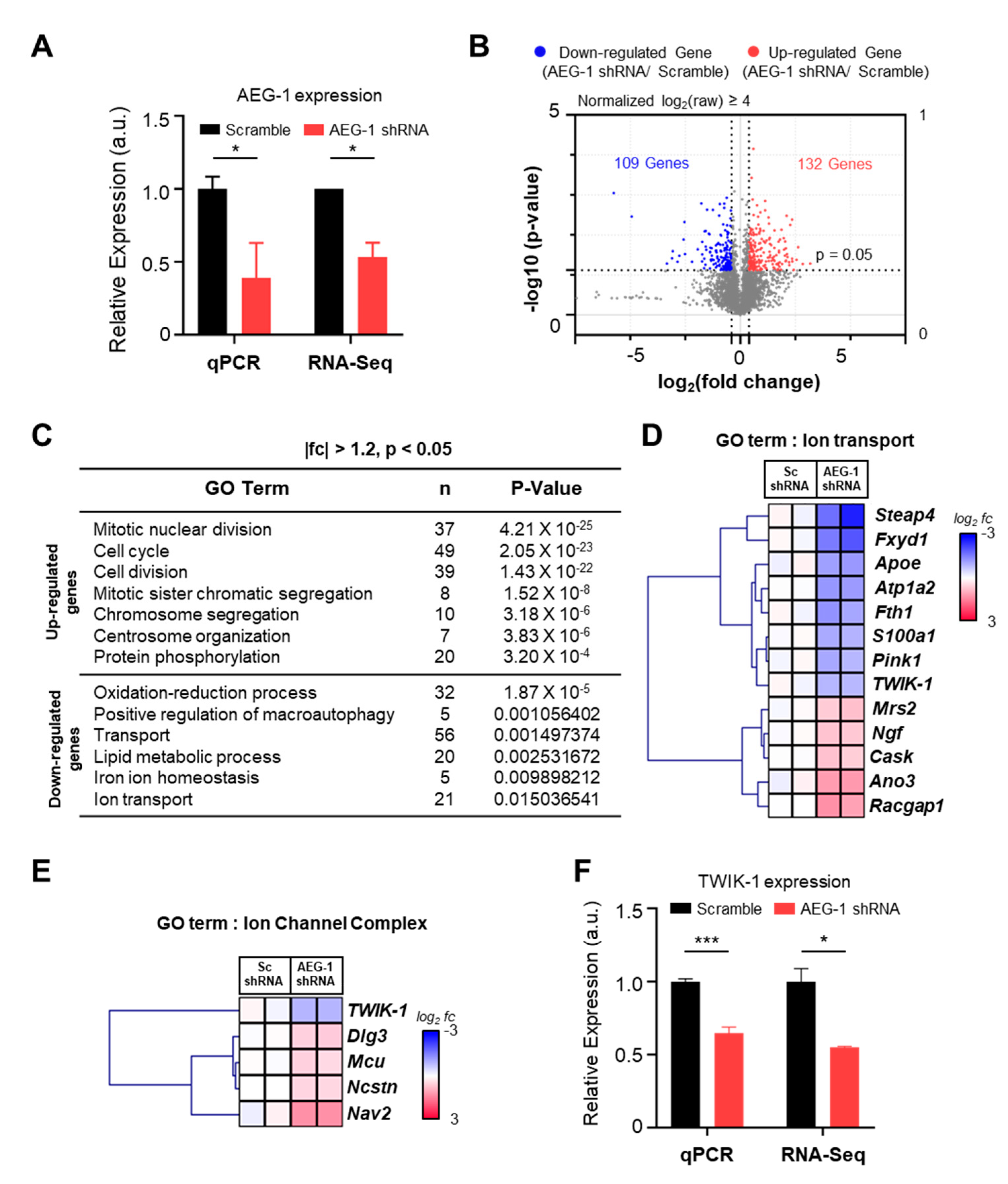 Brainsci 11 00085 g001 Brainsci 11 00085 g001