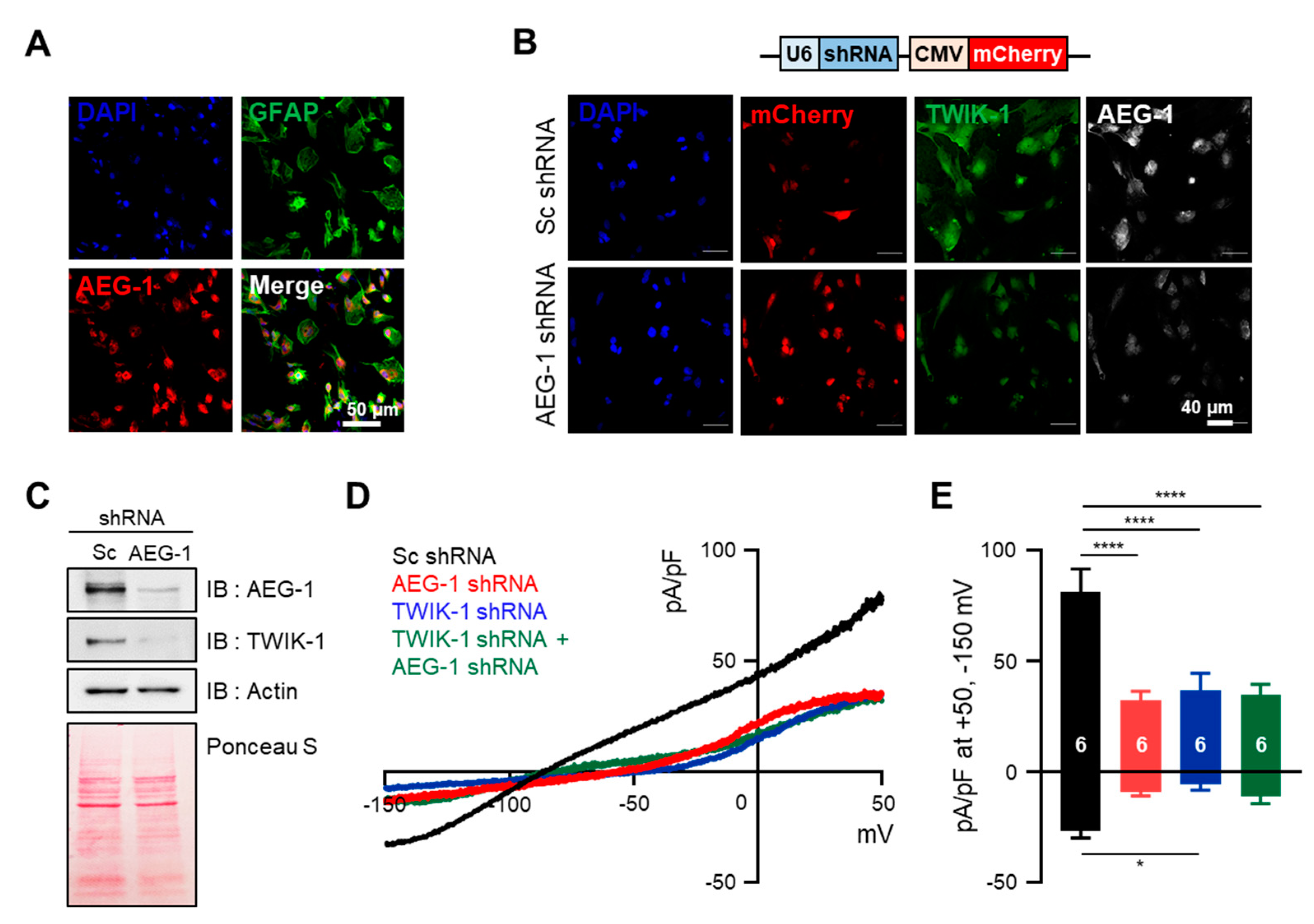 Brainsci 11 00085 g002 Brainsci 11 00085 g002