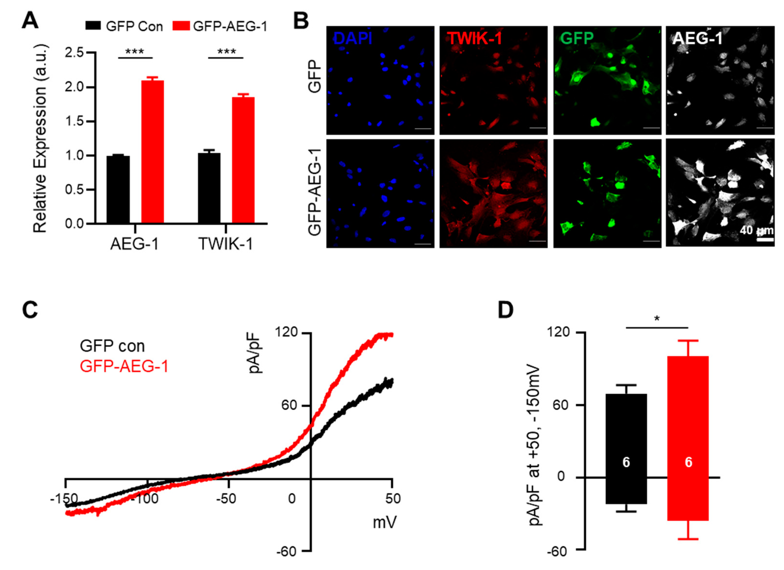 Brainsci 11 00085 g003 Brainsci 11 00085 g003