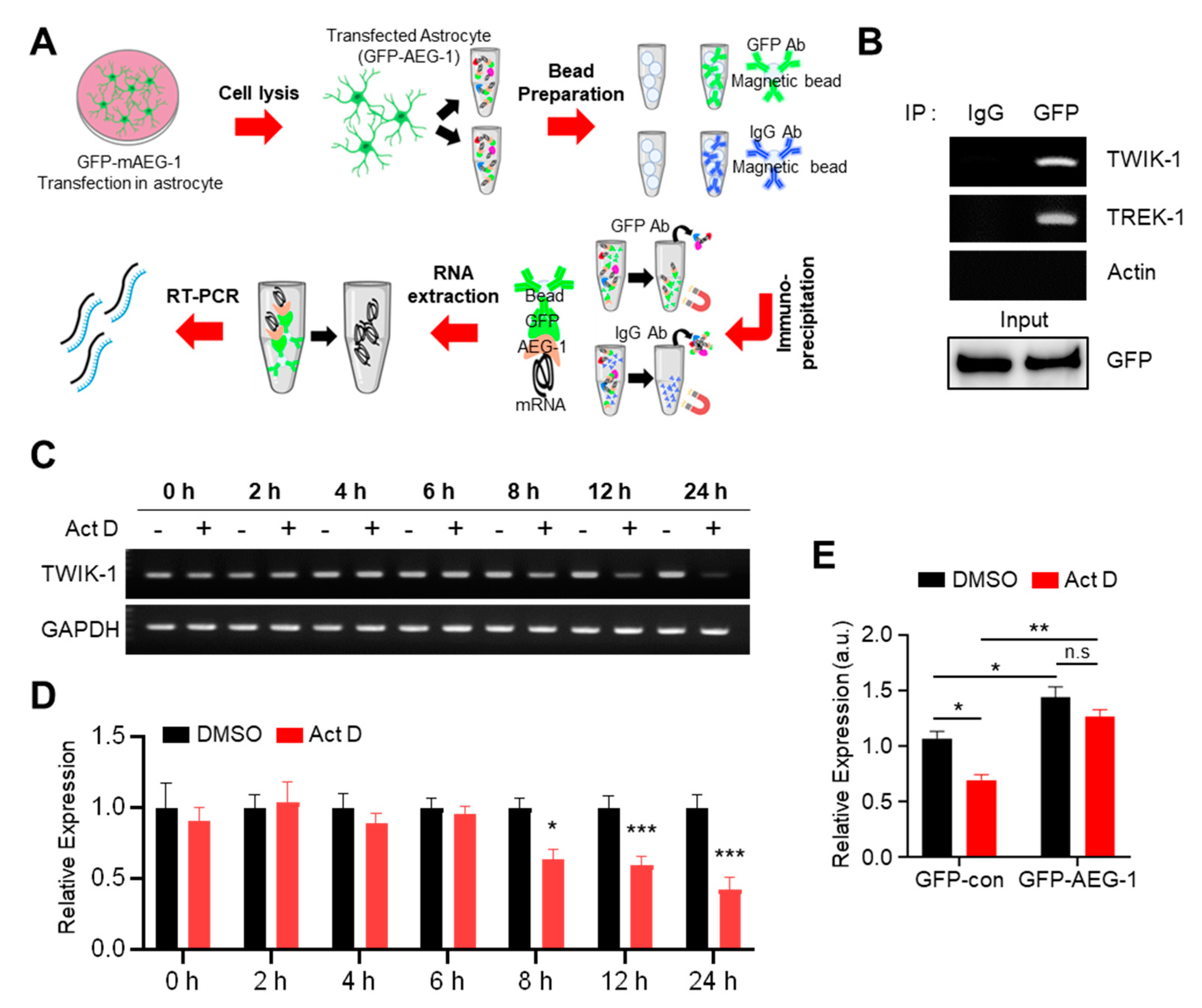 Brainsci 11 00085 g004 Brainsci 11 00085 g004