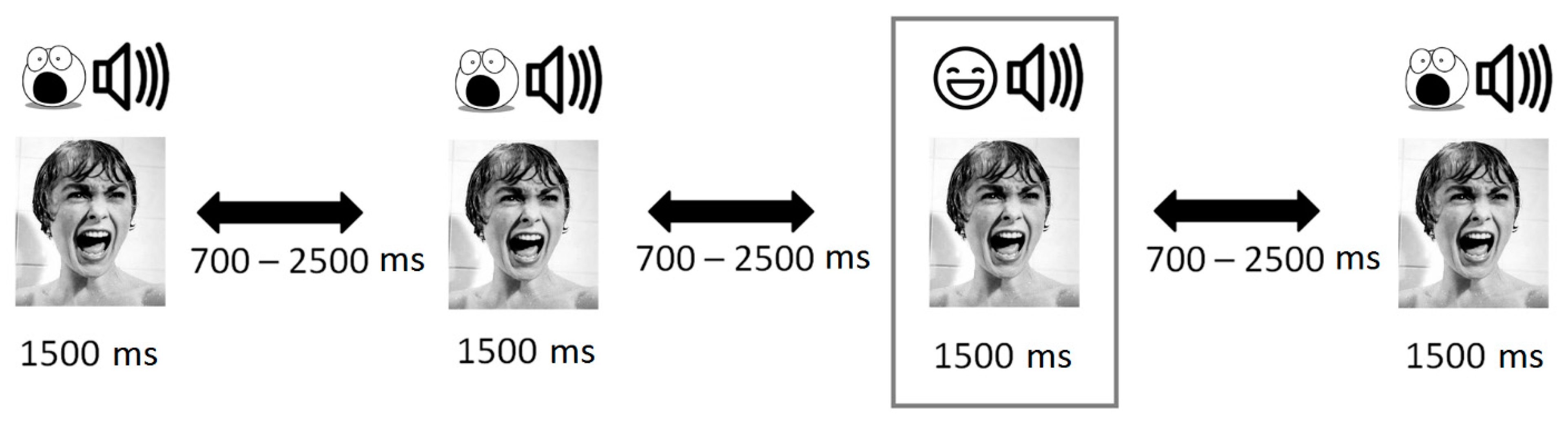 Brainsci 11 00096 g001