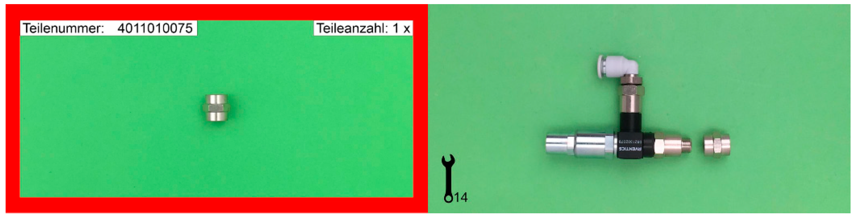 Brainsci 11 00102 g001