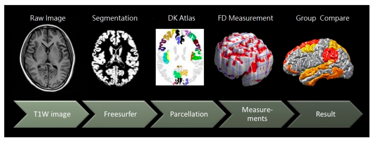 Brainsci 11 00107 g001