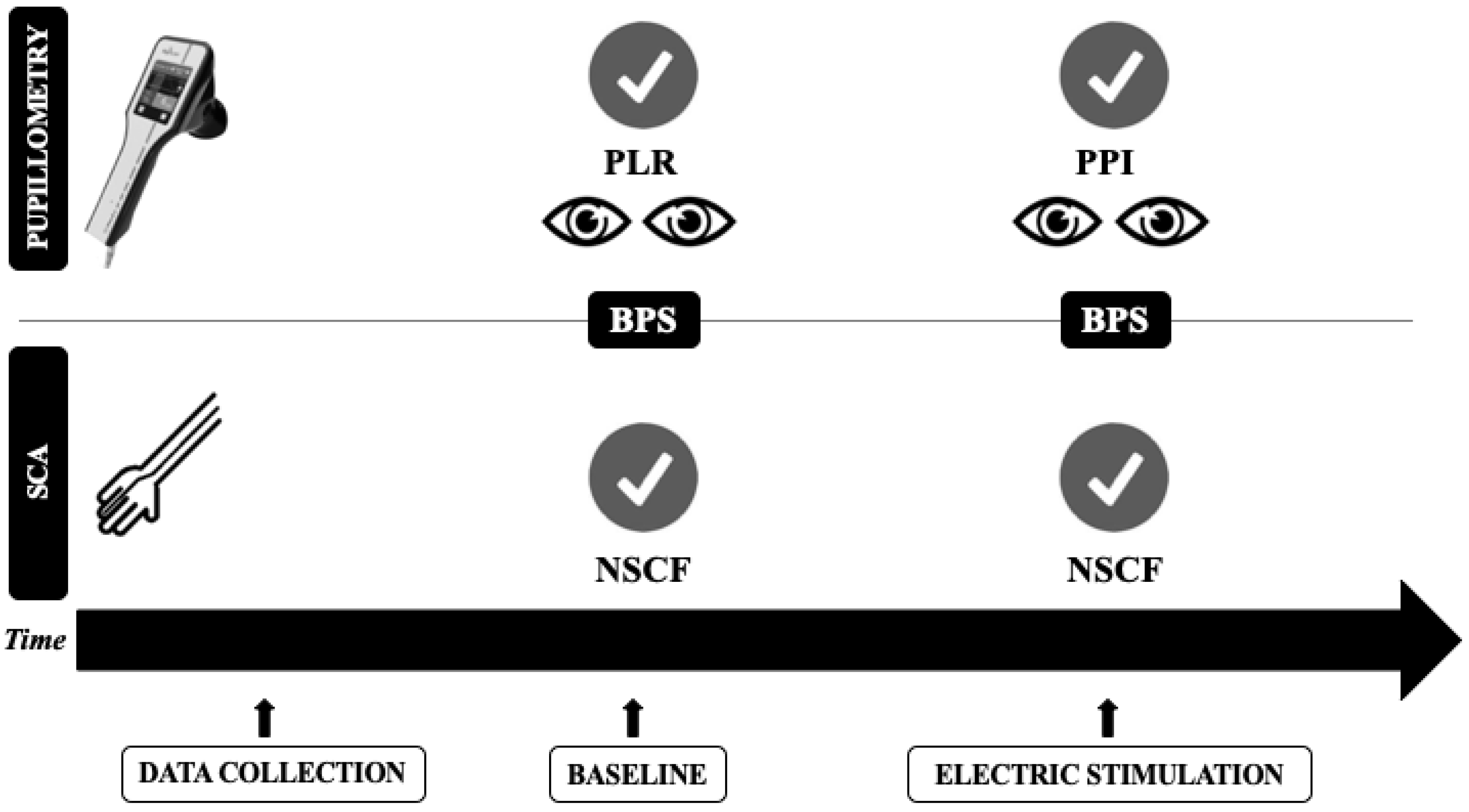 Brainsci 11 00109 g001 Brainsci 11 00109 g001