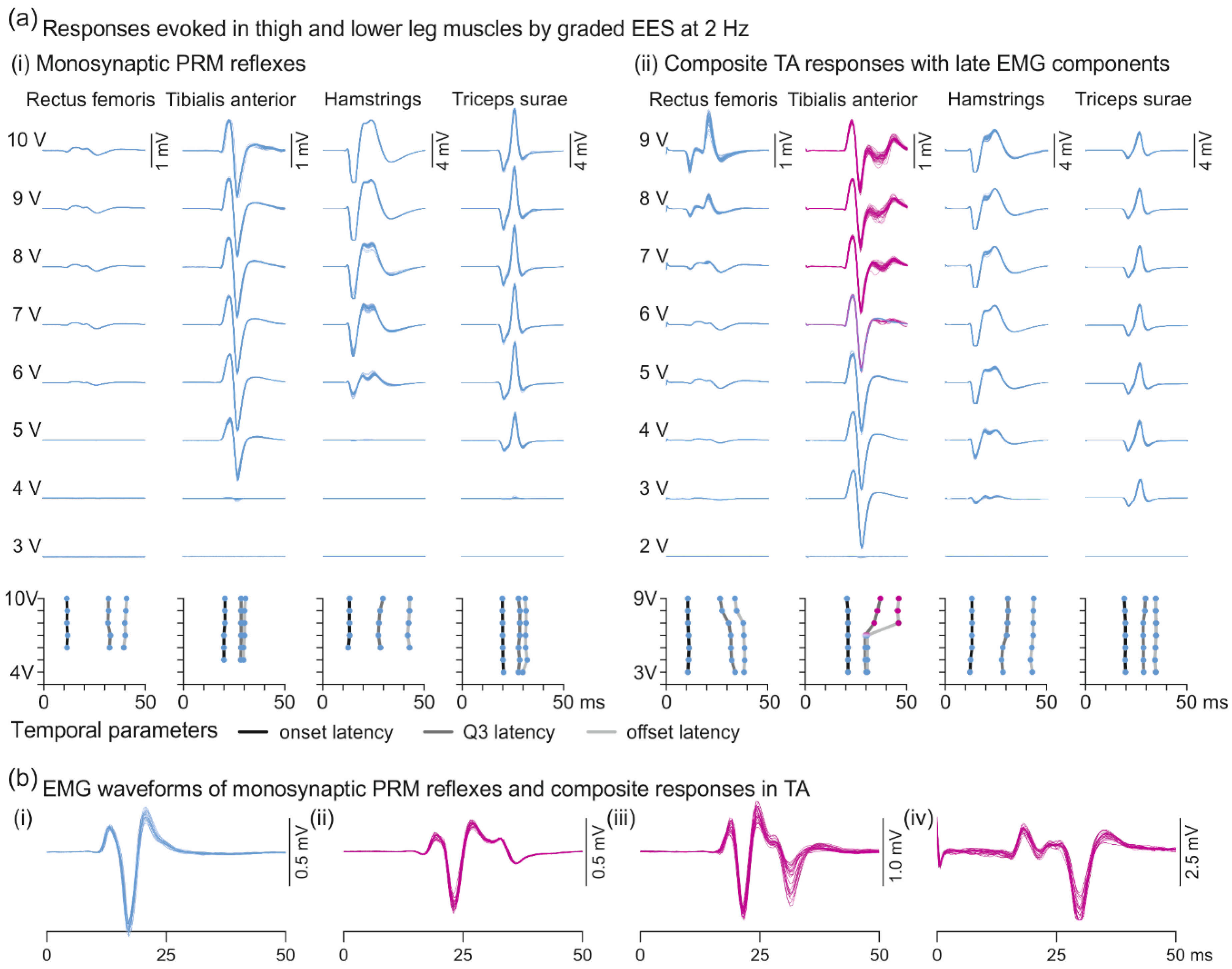 Brainsci 11 00112 g005