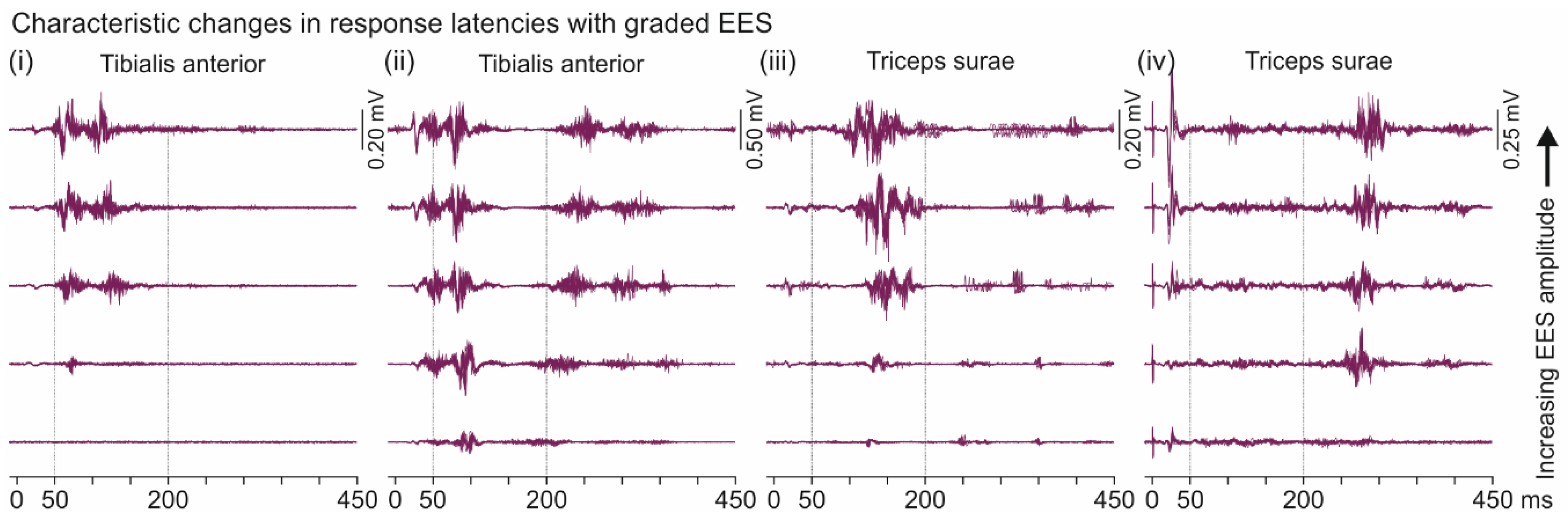 Brainsci 11 00112 g010