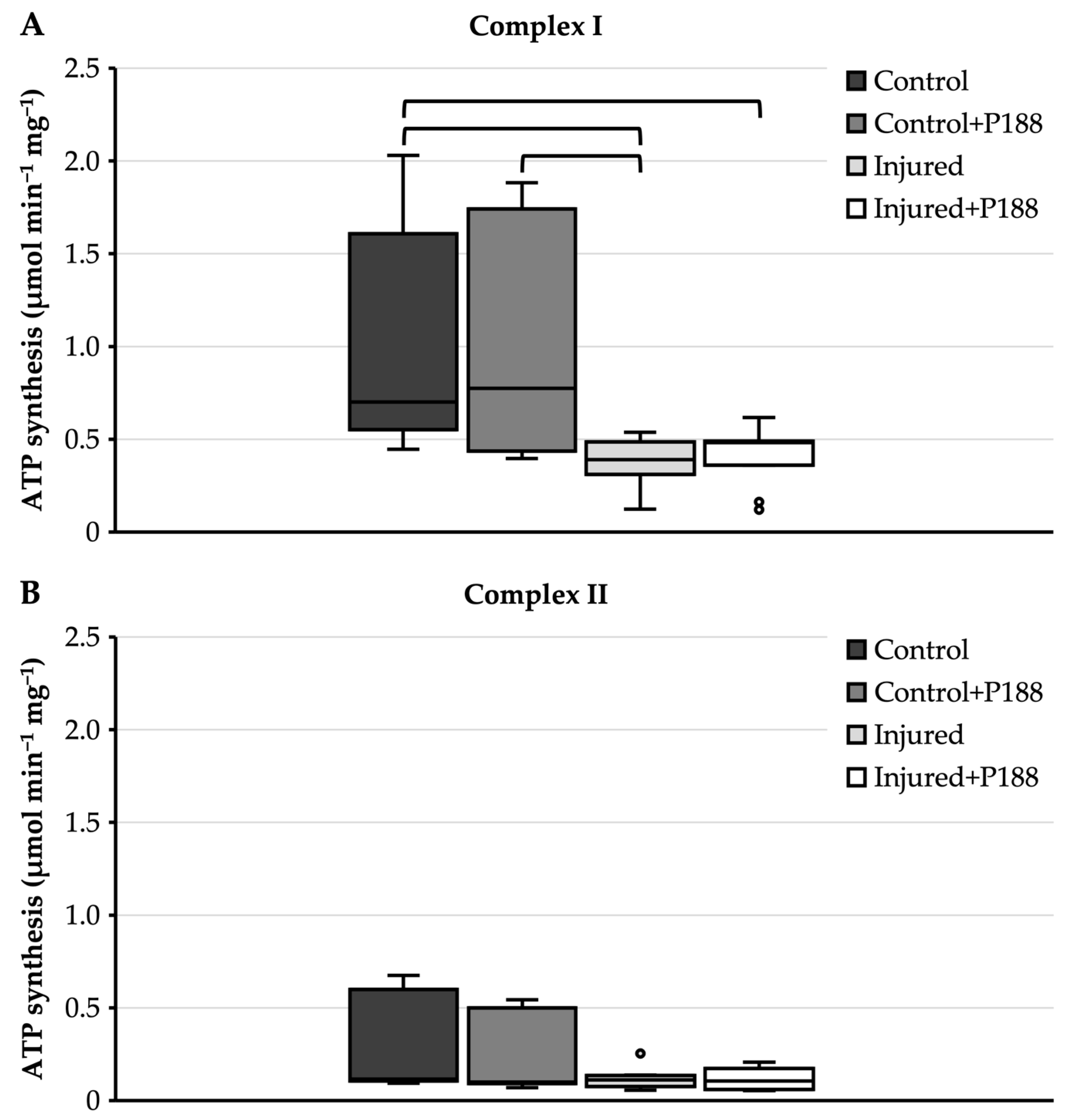 Brainsci 11 00122 g001