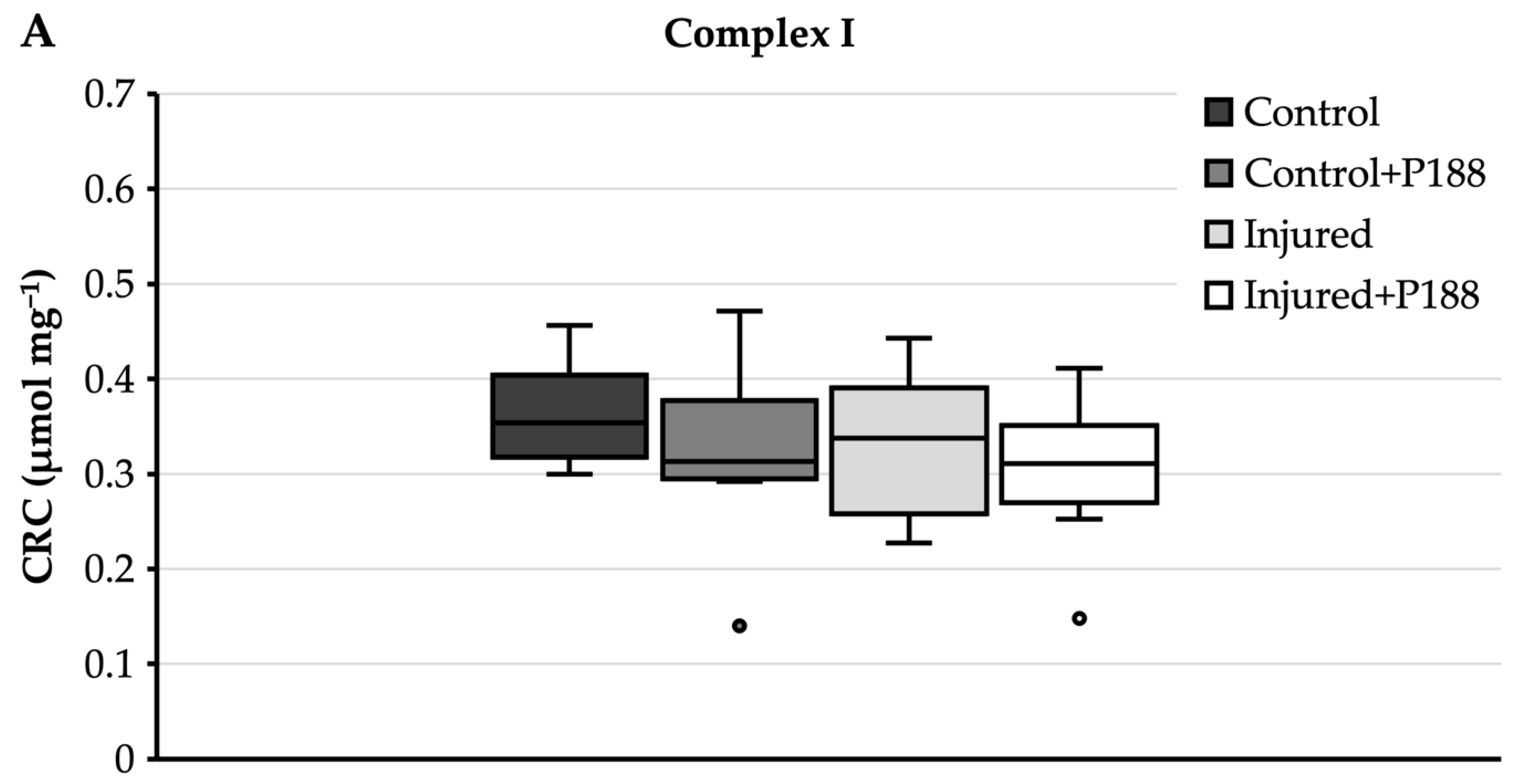 Brainsci 11 00122 g003a