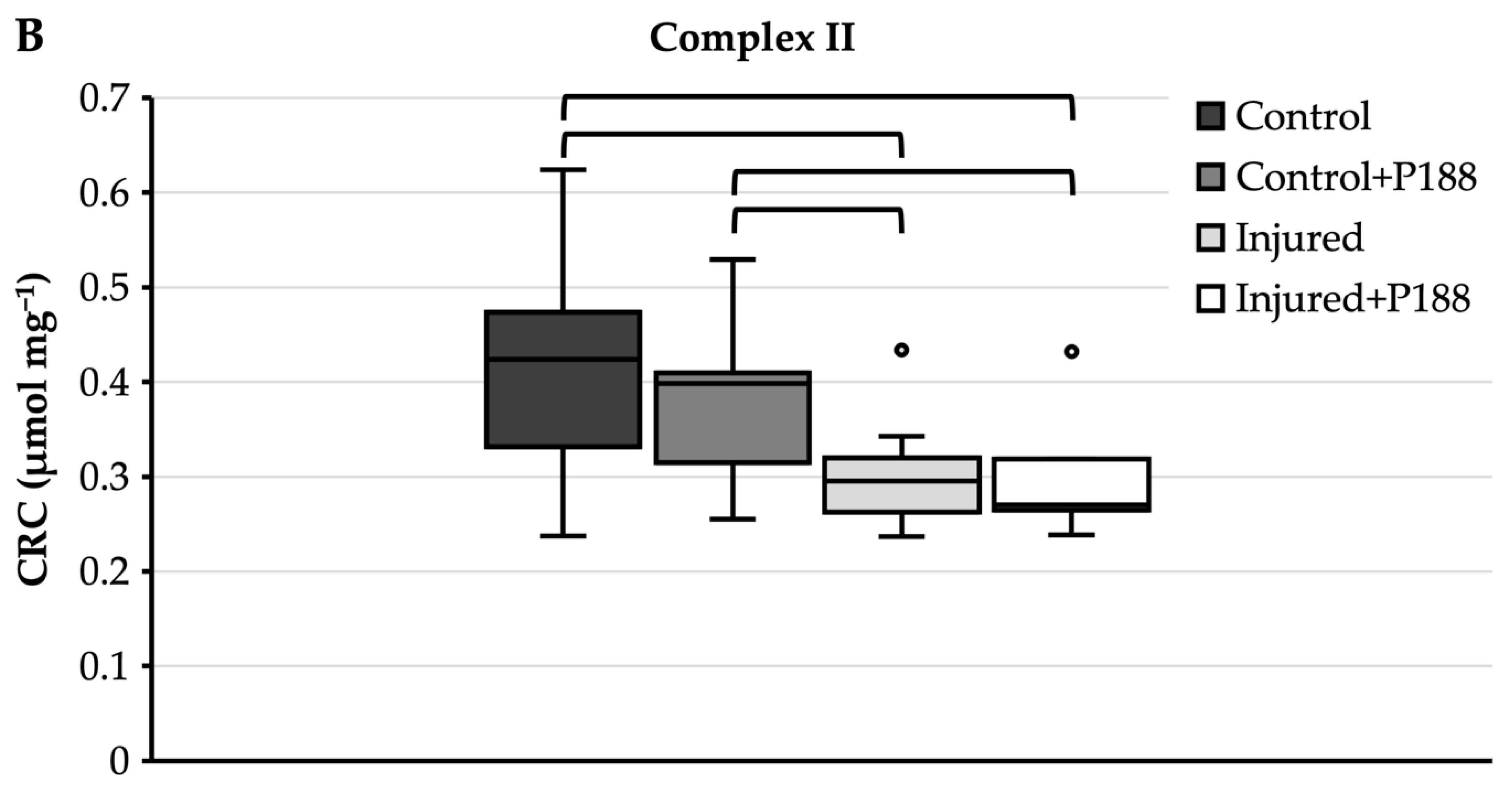 Brainsci 11 00122 g003b