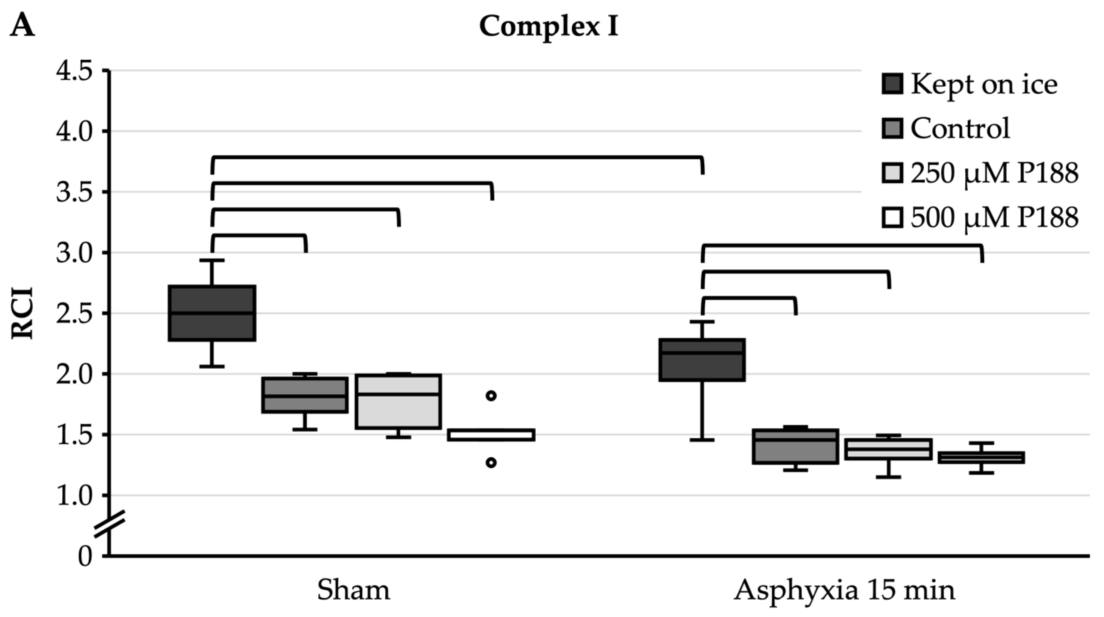 Brainsci 11 00122 g004a