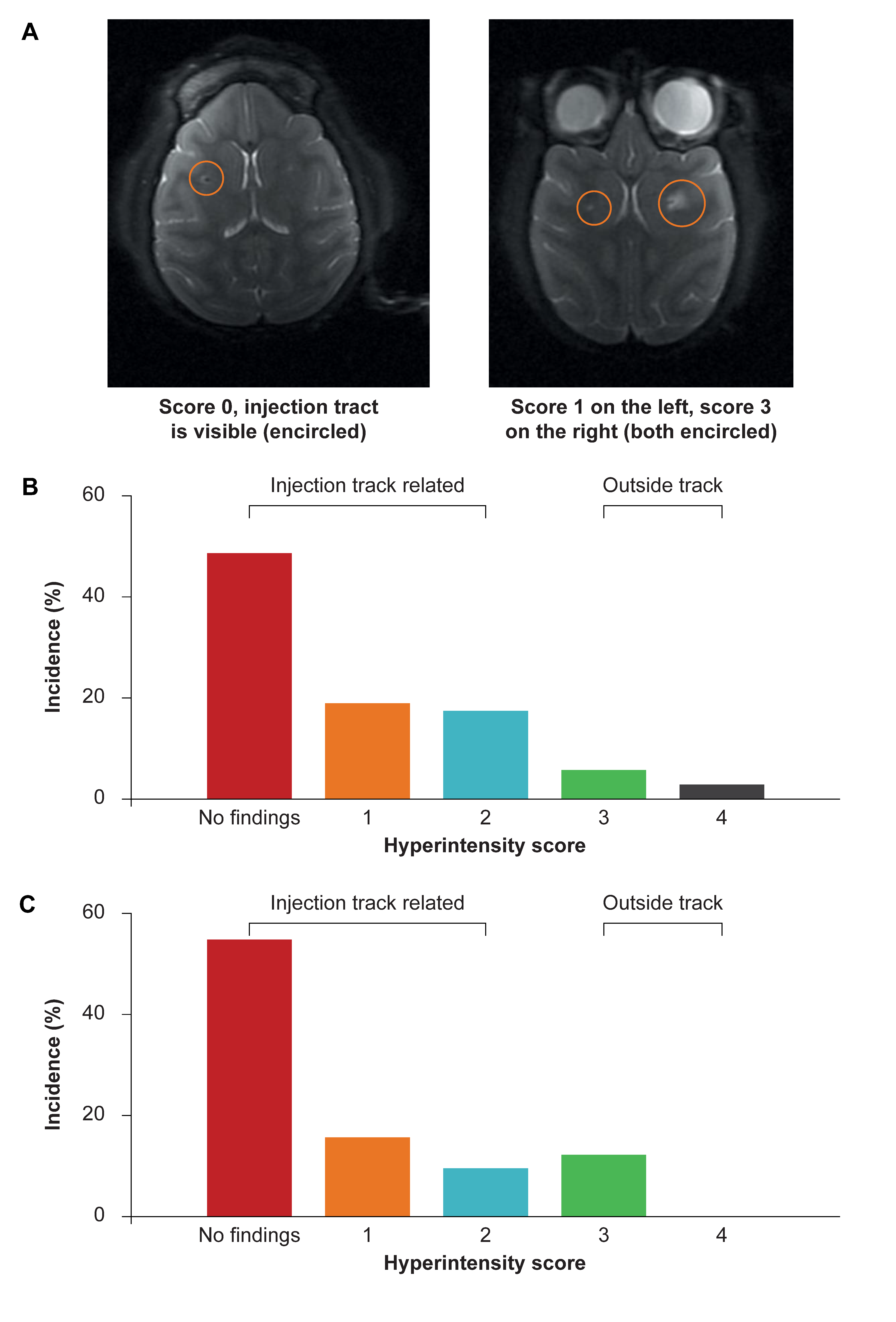 Brainsci 11 00129 g002 Brainsci 11 00129 g002