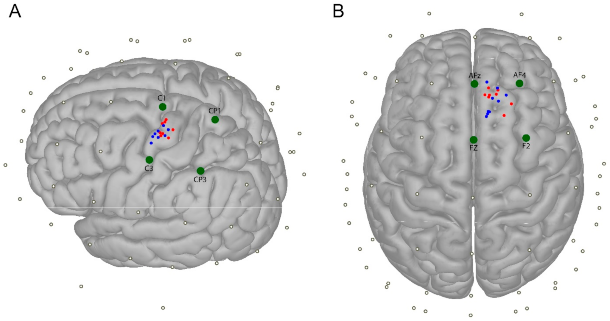 Brainsci 11 00145 g001 Brainsci 11 00145 g001