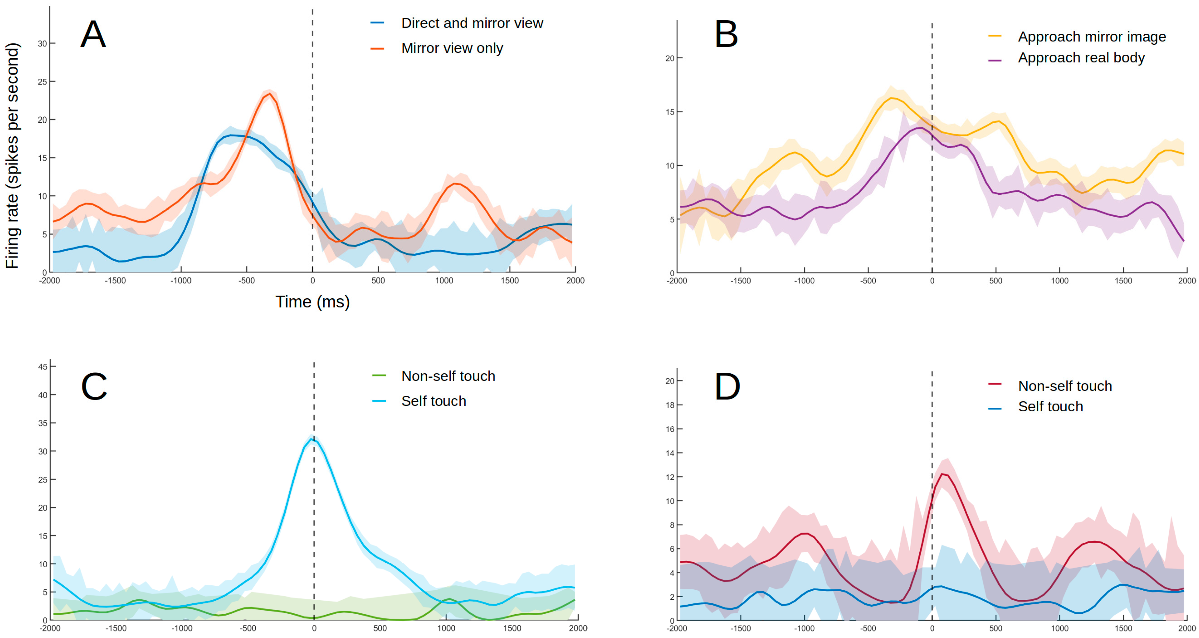 Brainsci 11 00157 g004 Brainsci 11 00157 g004