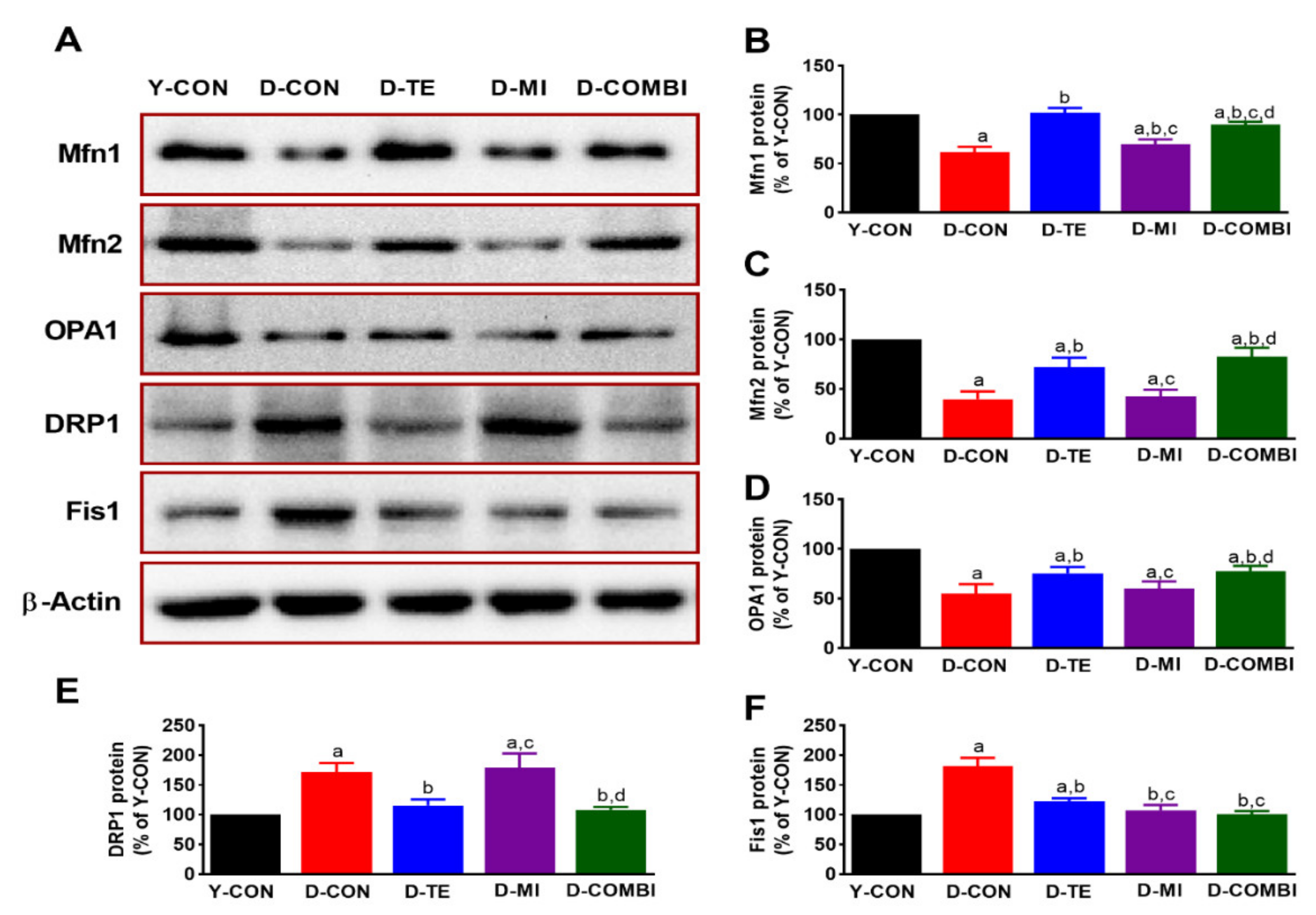 Brainsci 11 00164 g001