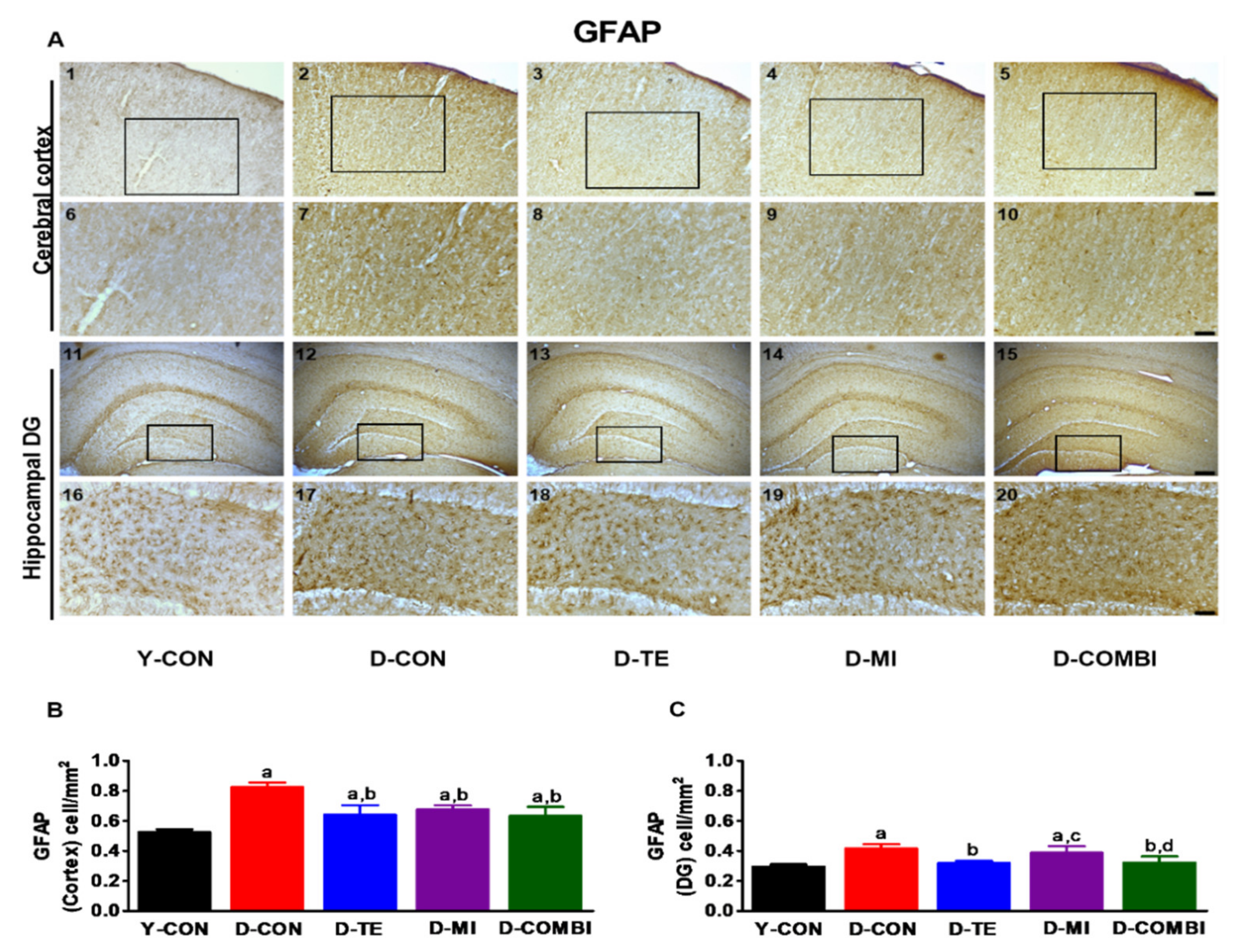 Brainsci 11 00164 g003