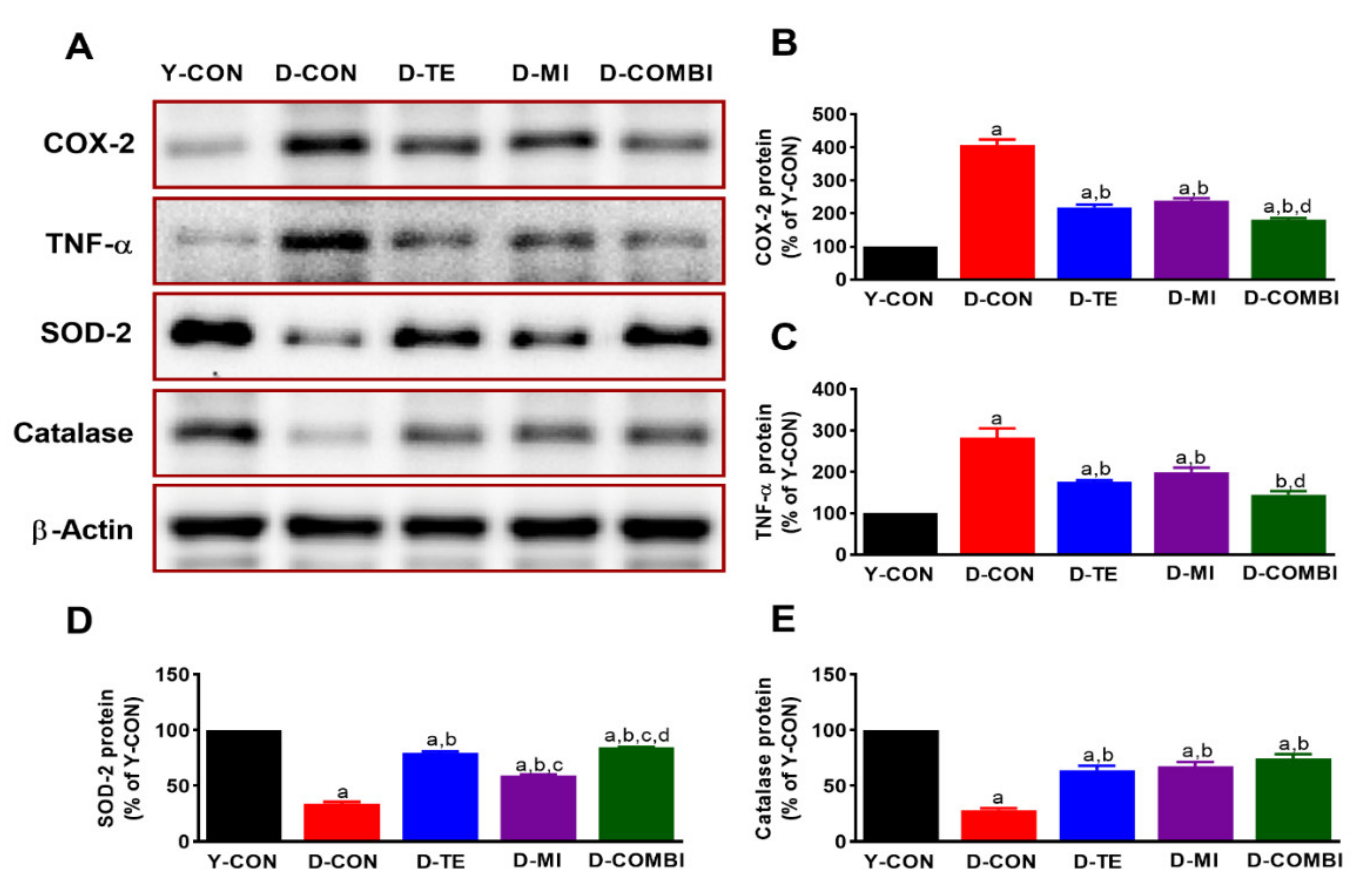 Brainsci 11 00164 g004