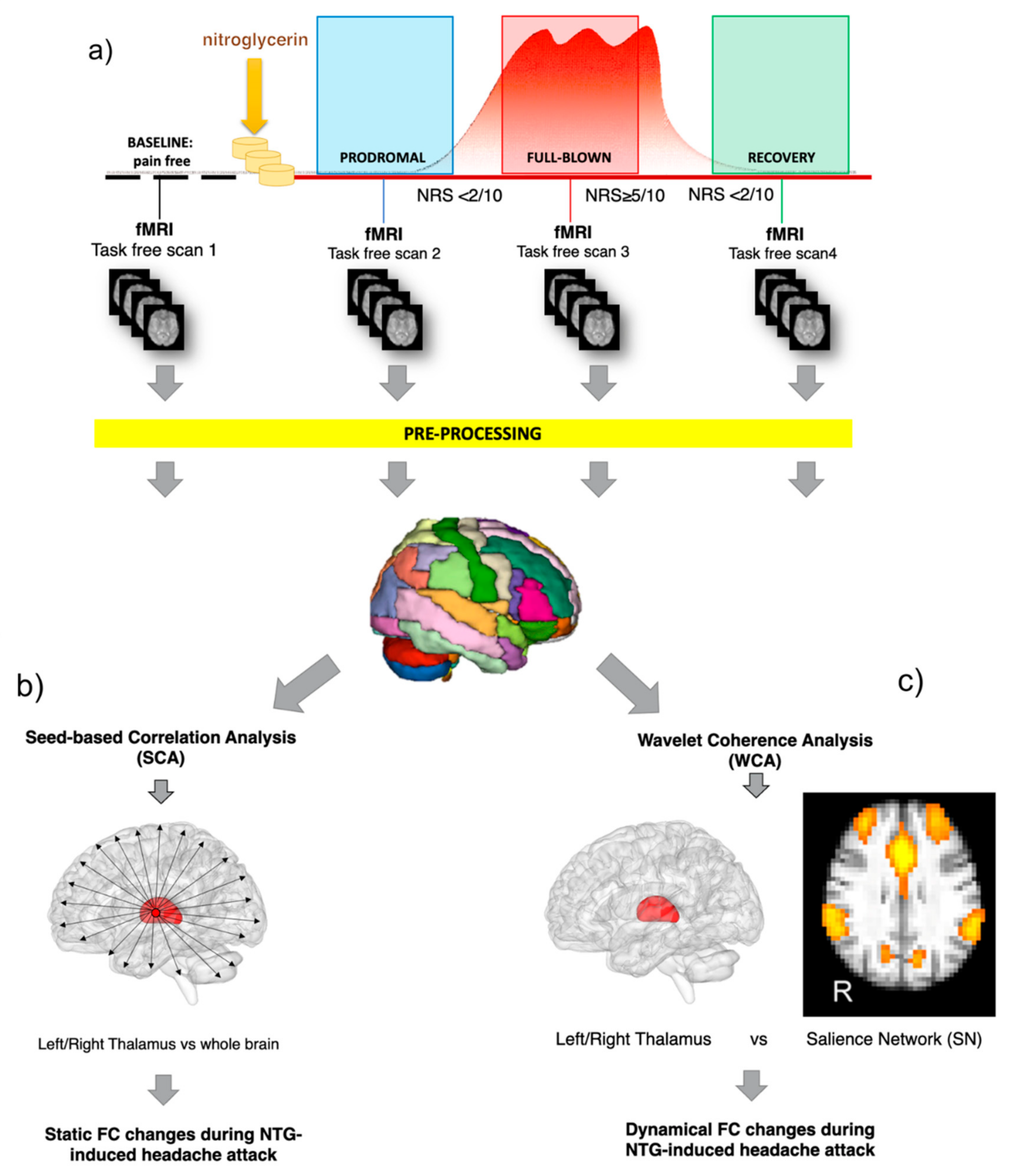 Brainsci 11 00165 g001 Brainsci 11 00165 g001