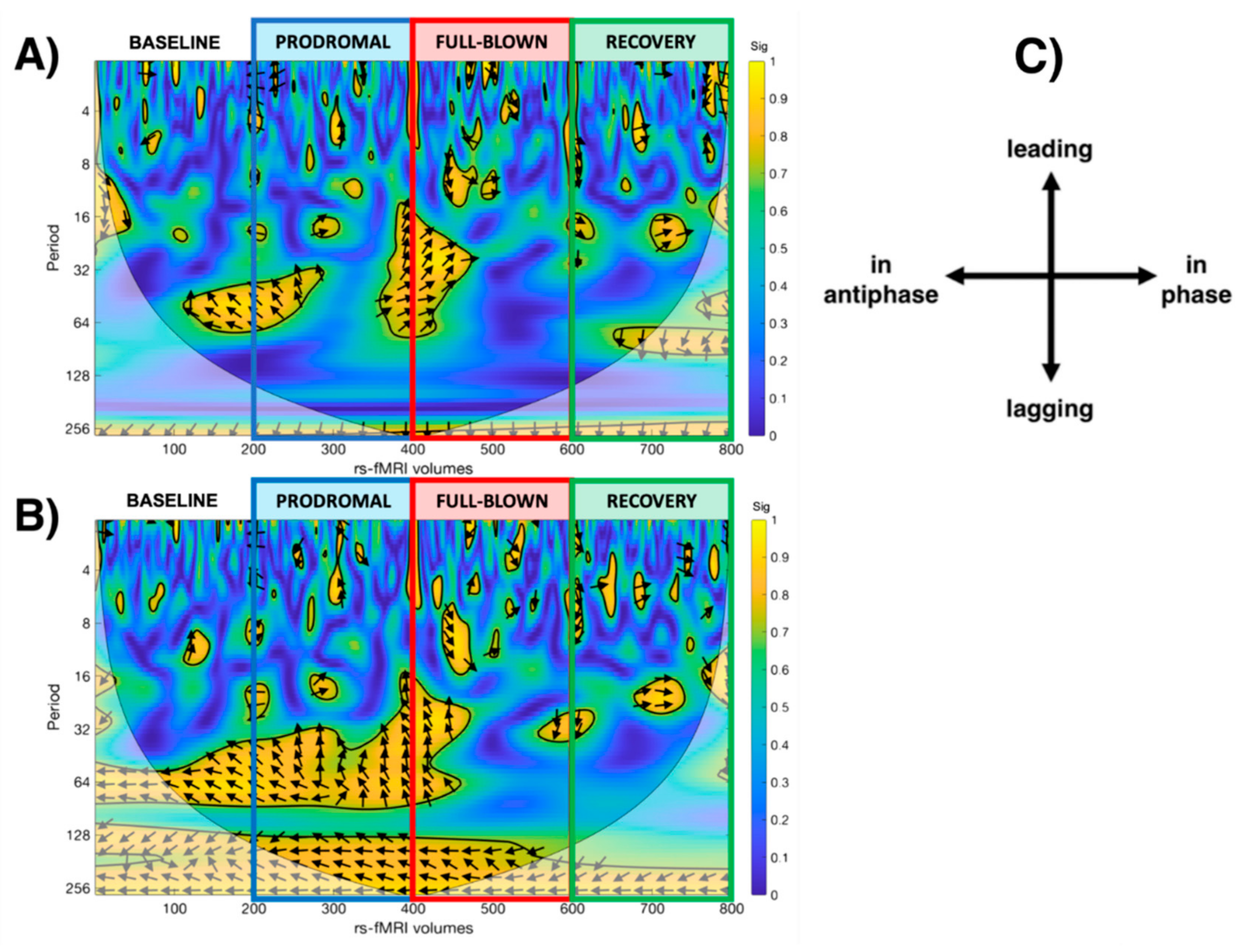 Brainsci 11 00165 g004 Brainsci 11 00165 g004