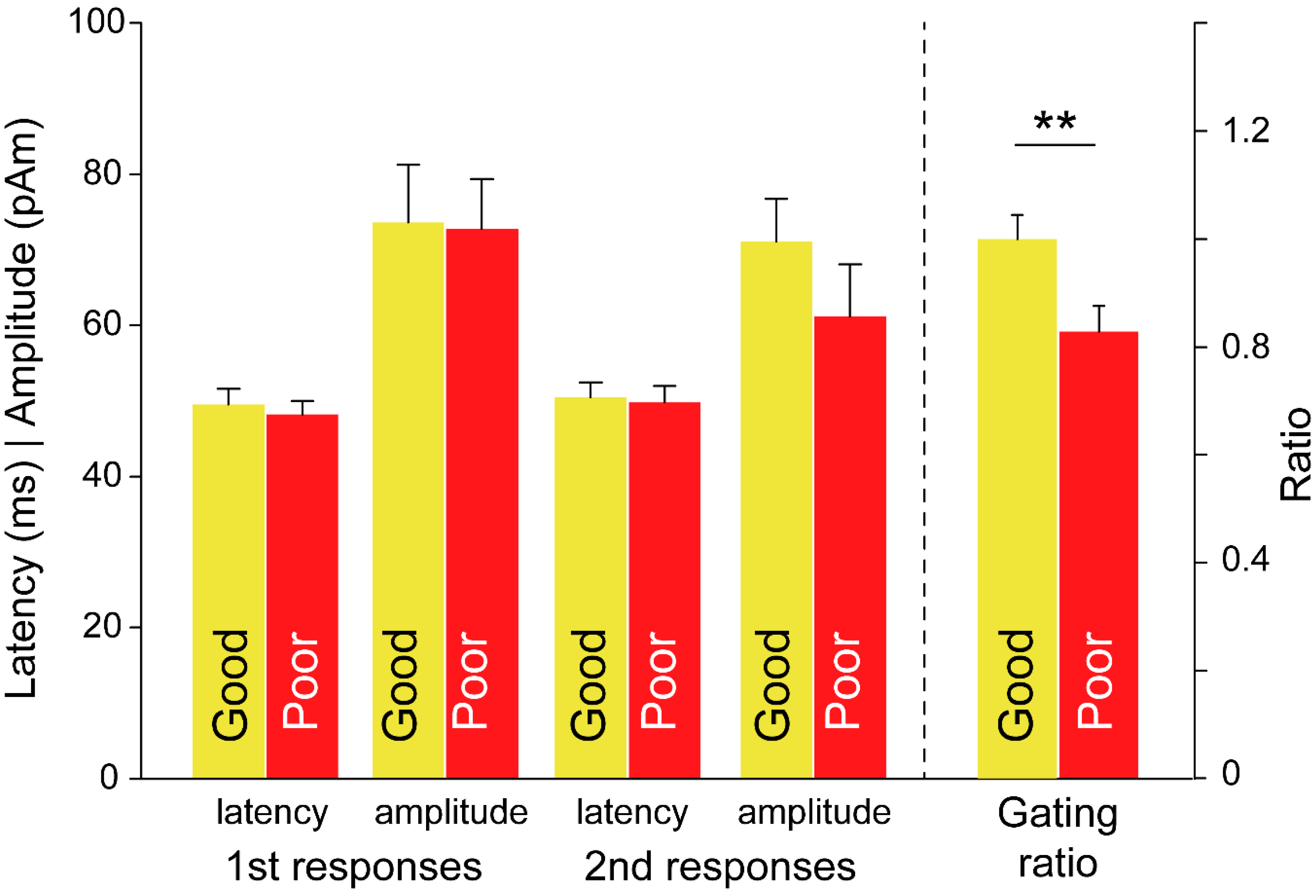 Brainsci 11 00166 g004 Brainsci 11 00166 g004