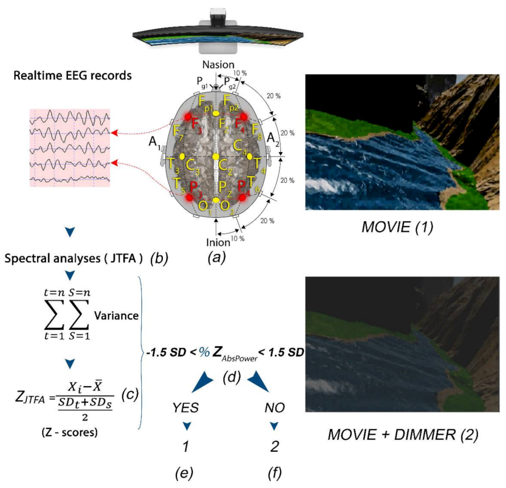 Brainsci 11 00167 g004 Brainsci 11 00167 g004