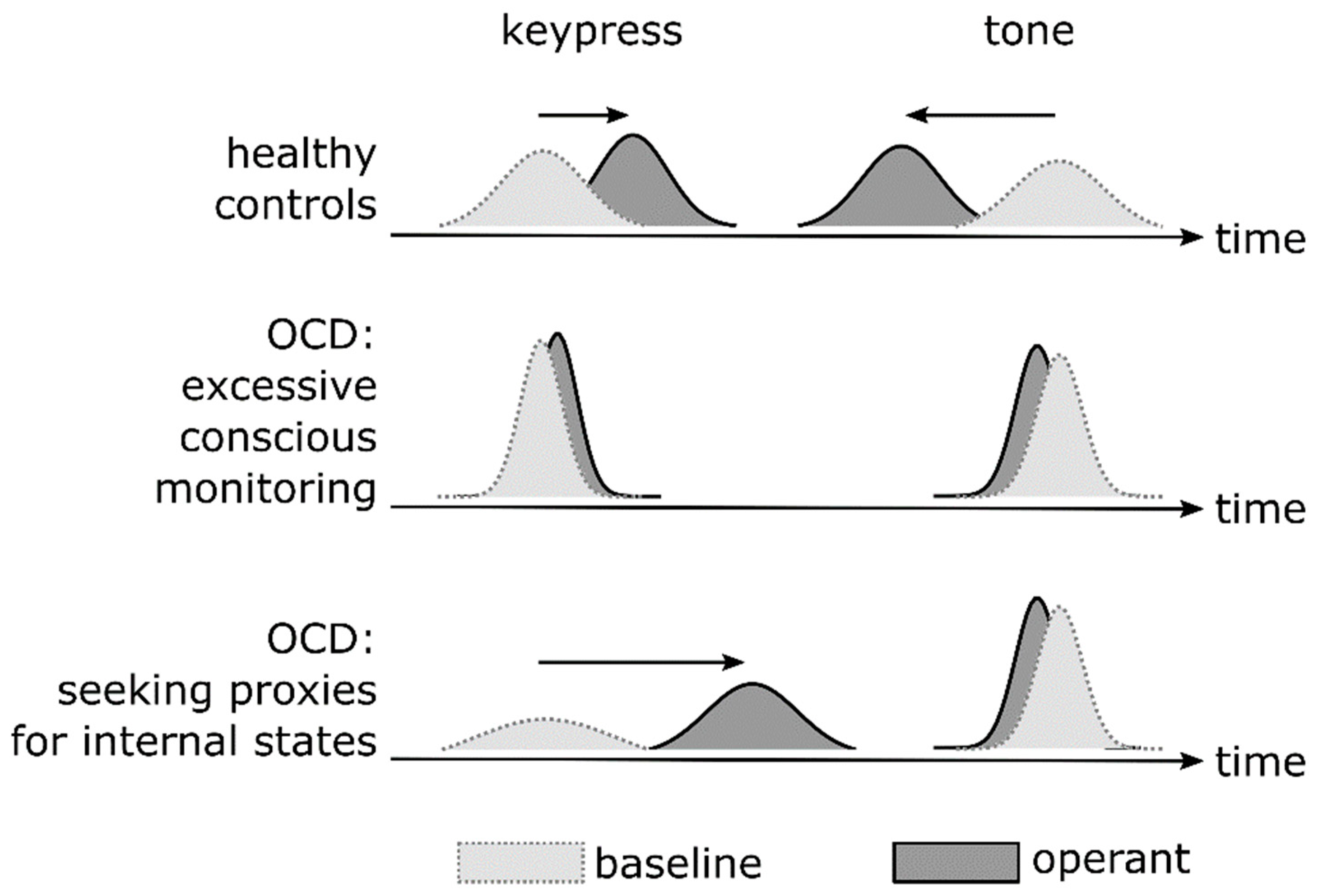 Brainsci 11 00182 g002