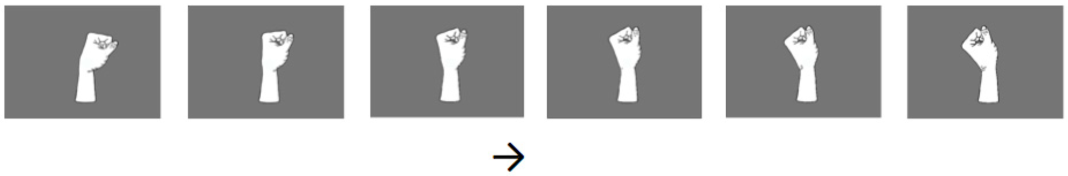 Brainsci 11 00187 g003 Brainsci 11 00187 g003