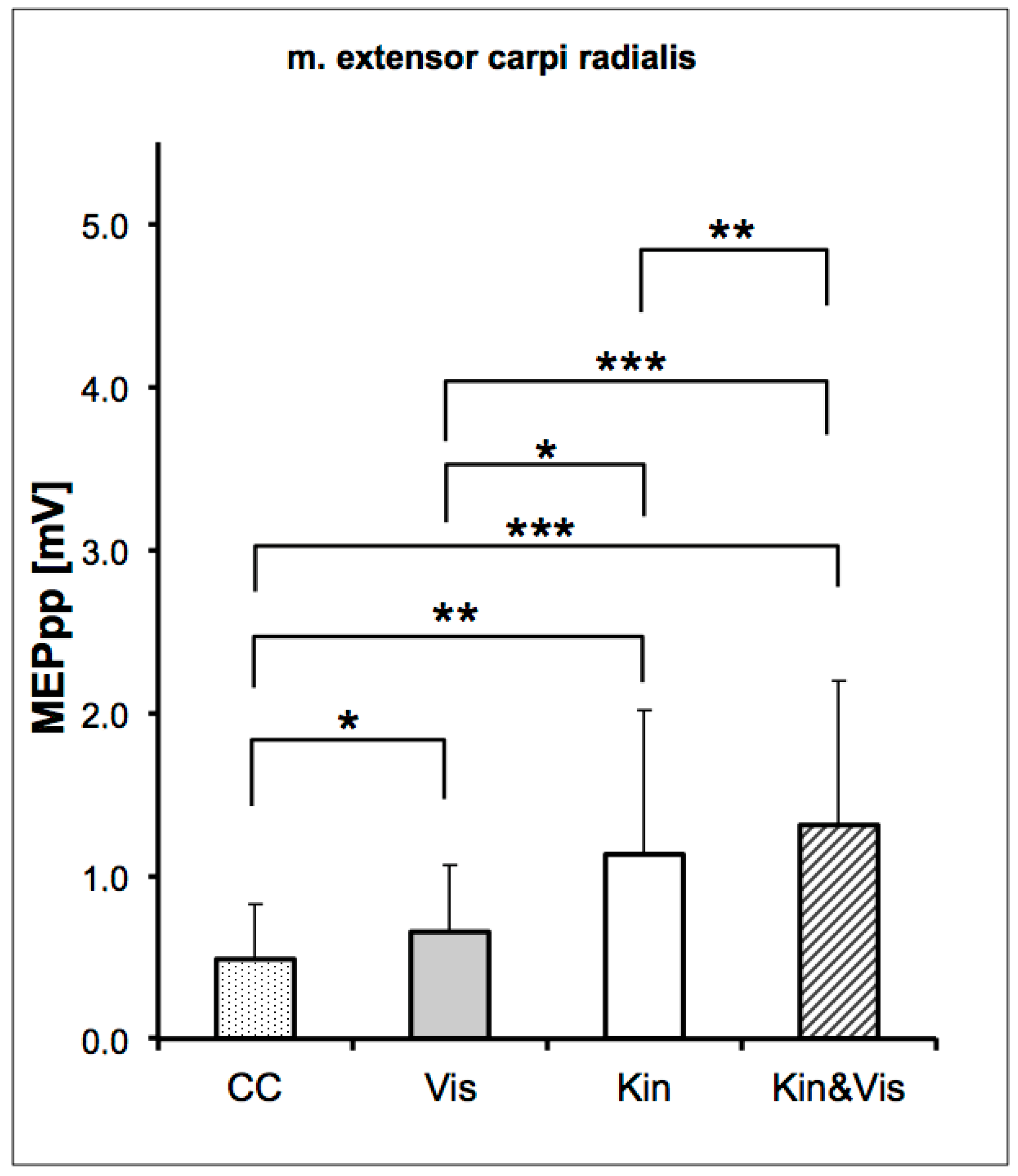 Brainsci 11 00187 g005 Brainsci 11 00187 g005