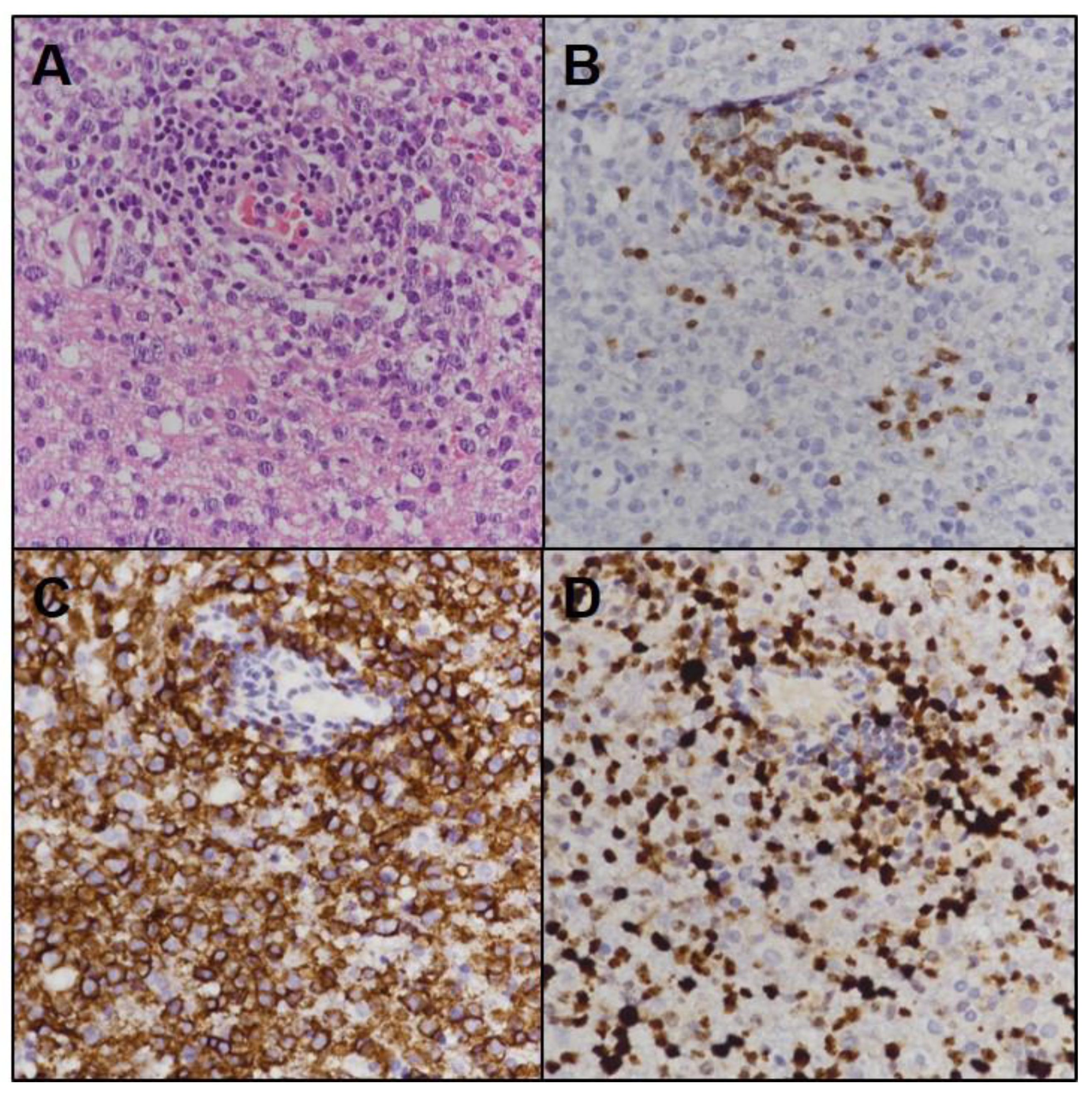 Brainsci 11 00191 g004