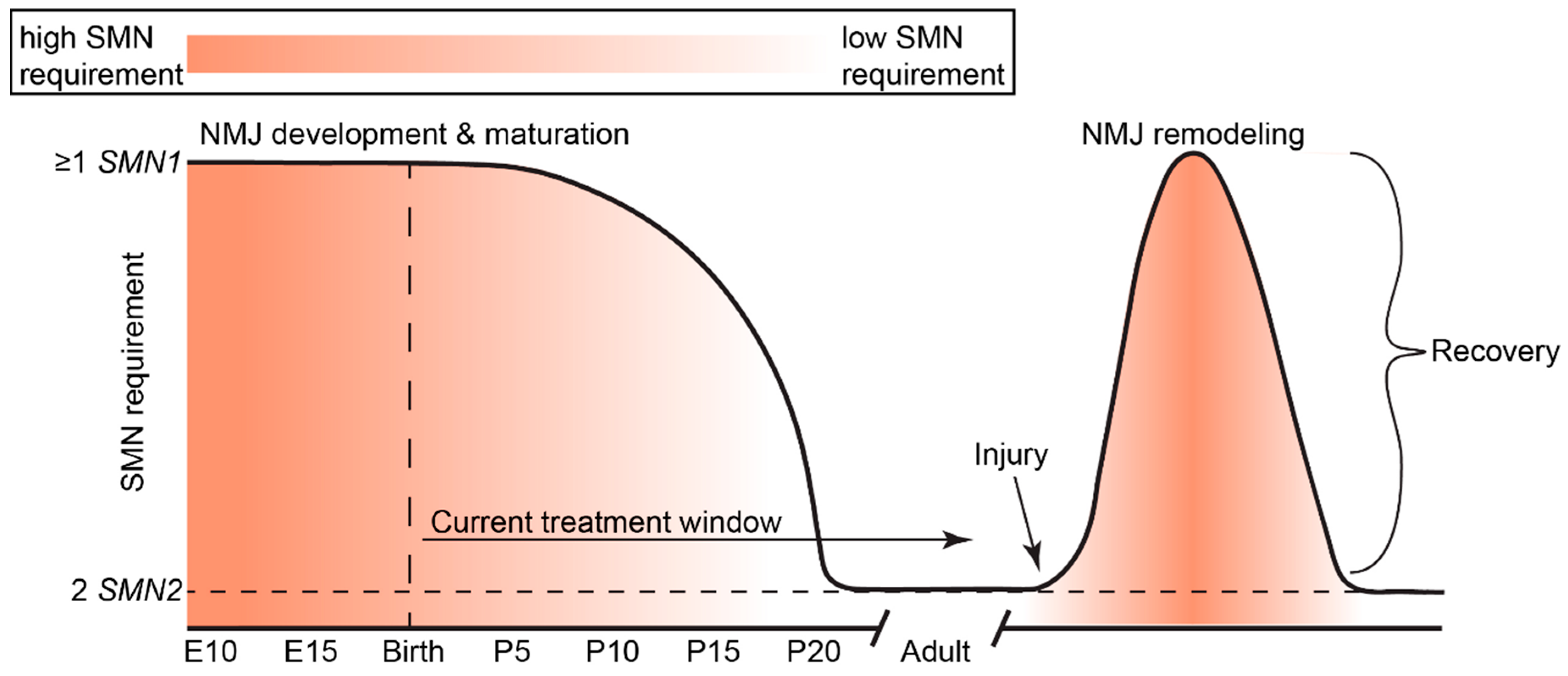 Brainsci 11 00194 g003